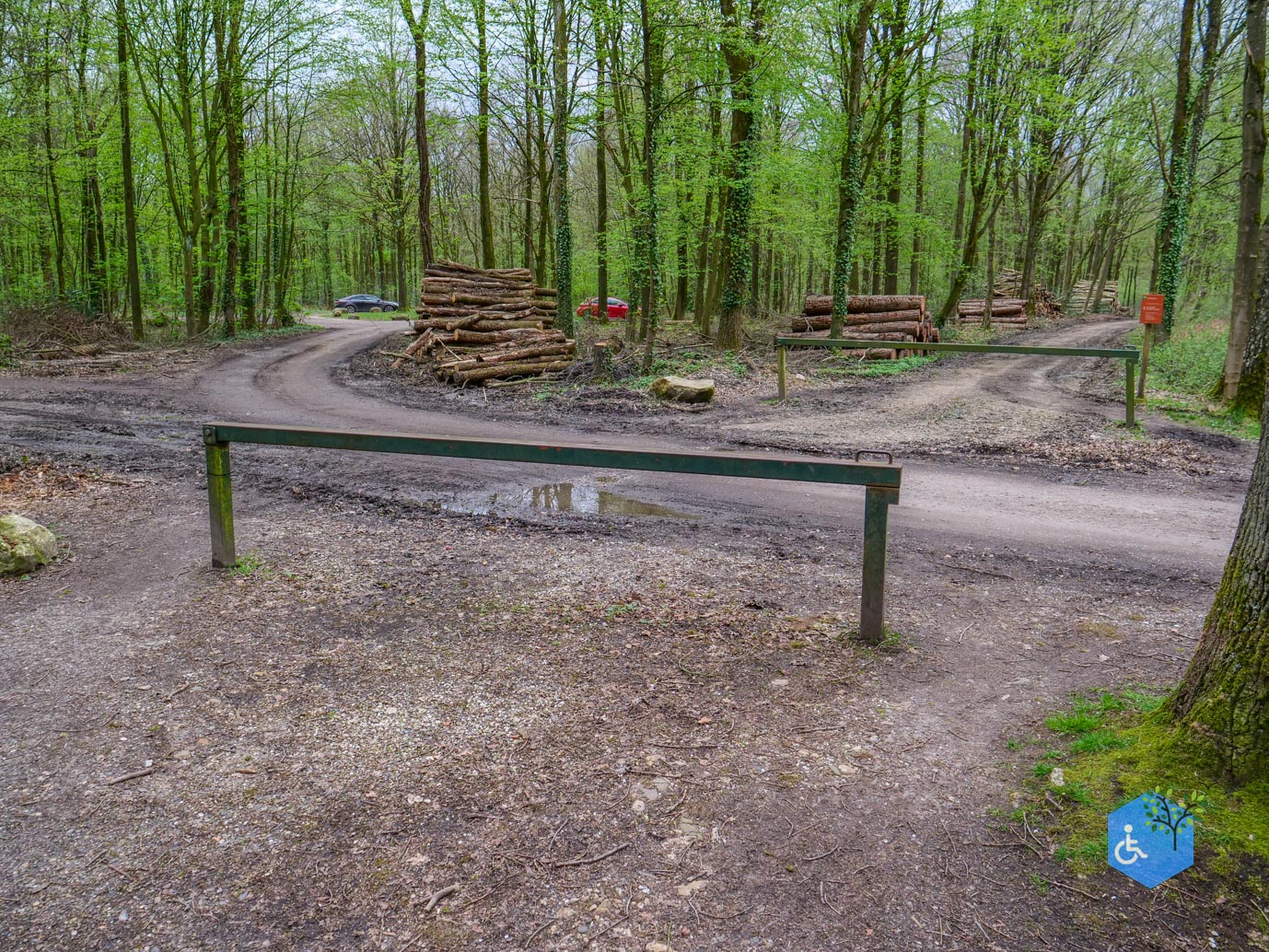 Vijlen_Wandelroute_Malensbos_07-04-2024-43