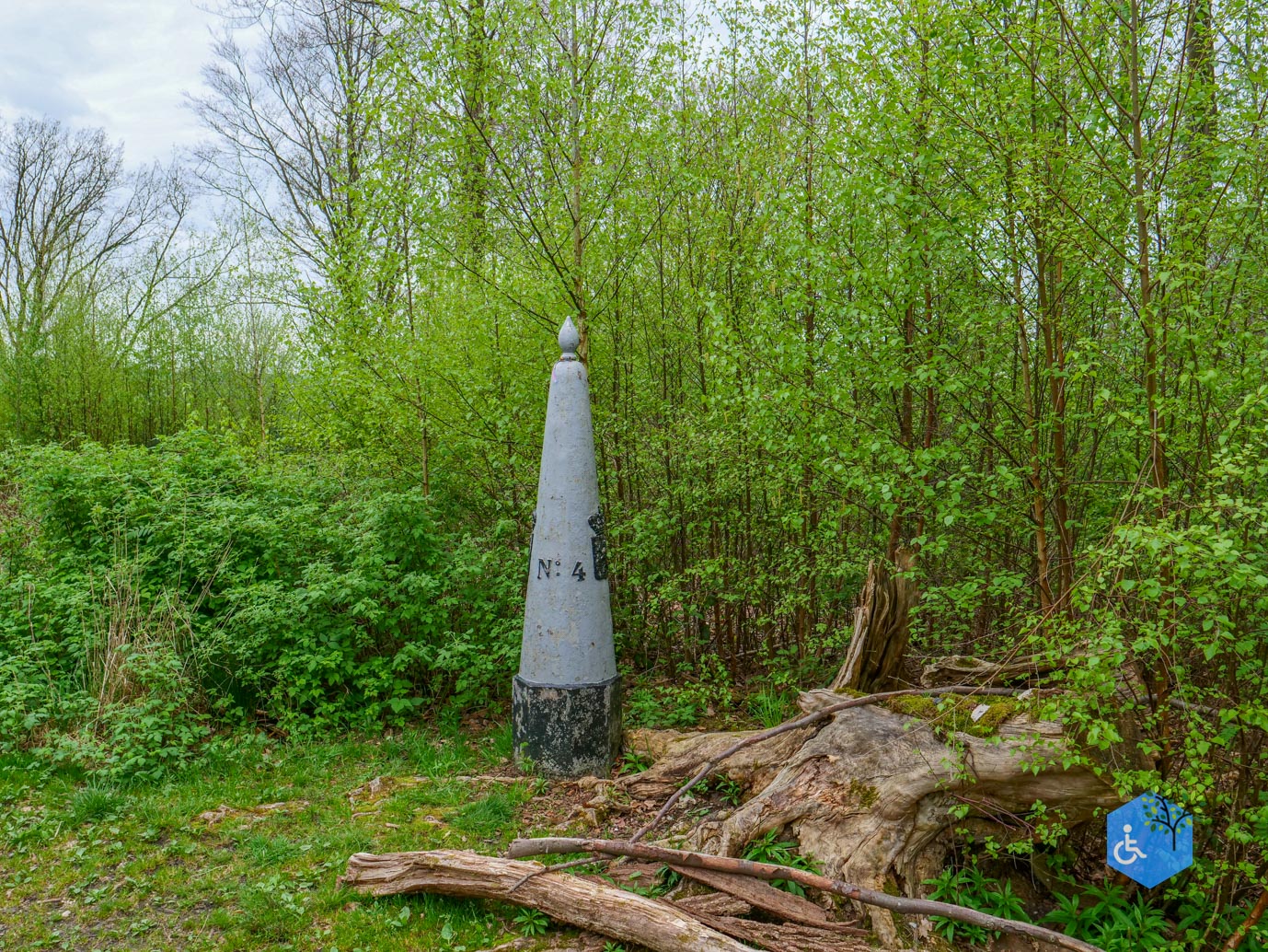 Vijlen_Wandelroute_Malensbos_07-04-2024-44