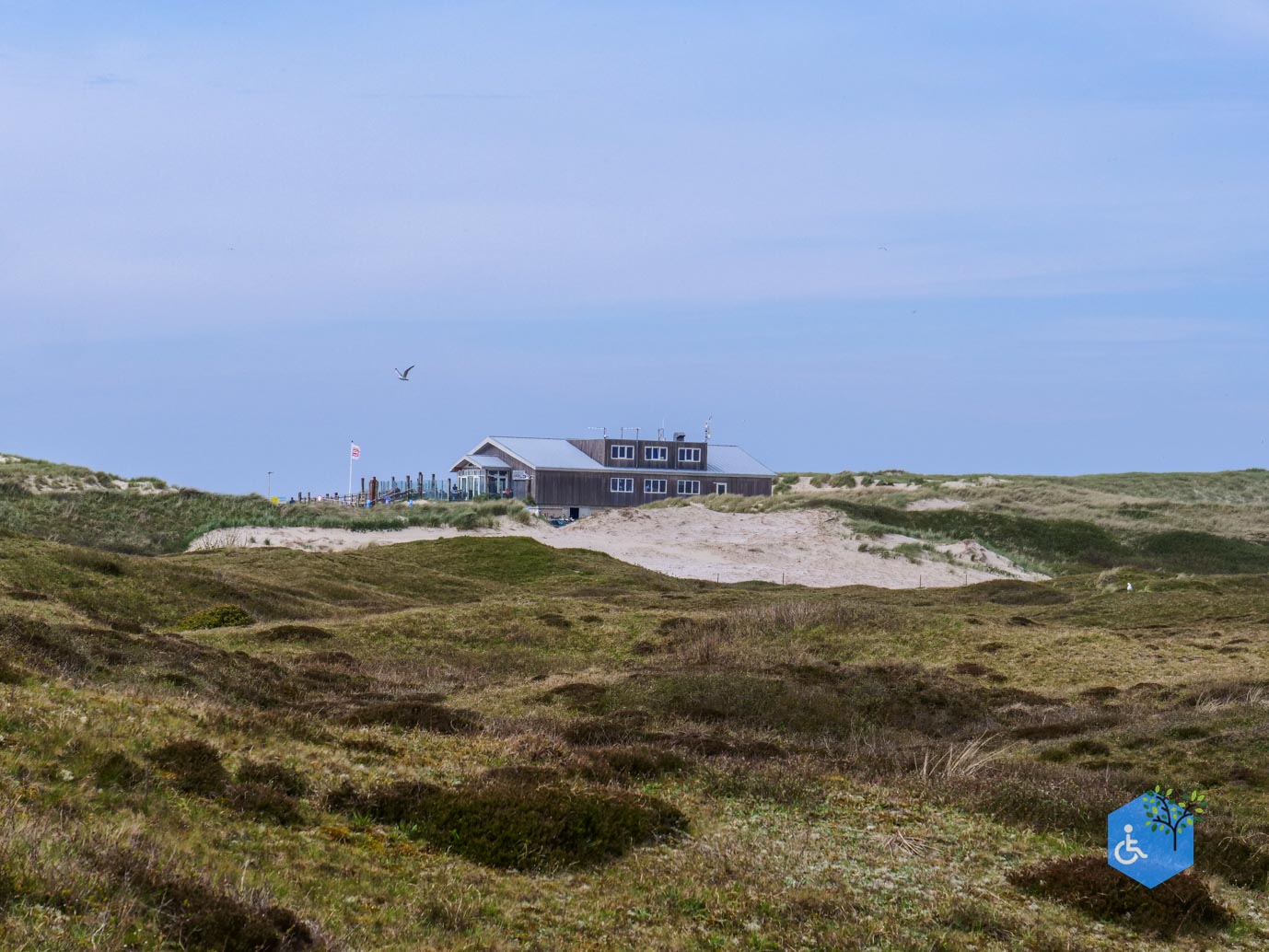 Den_Hoorn_Loodsmansduin_Paal_9_30-04-2024-27