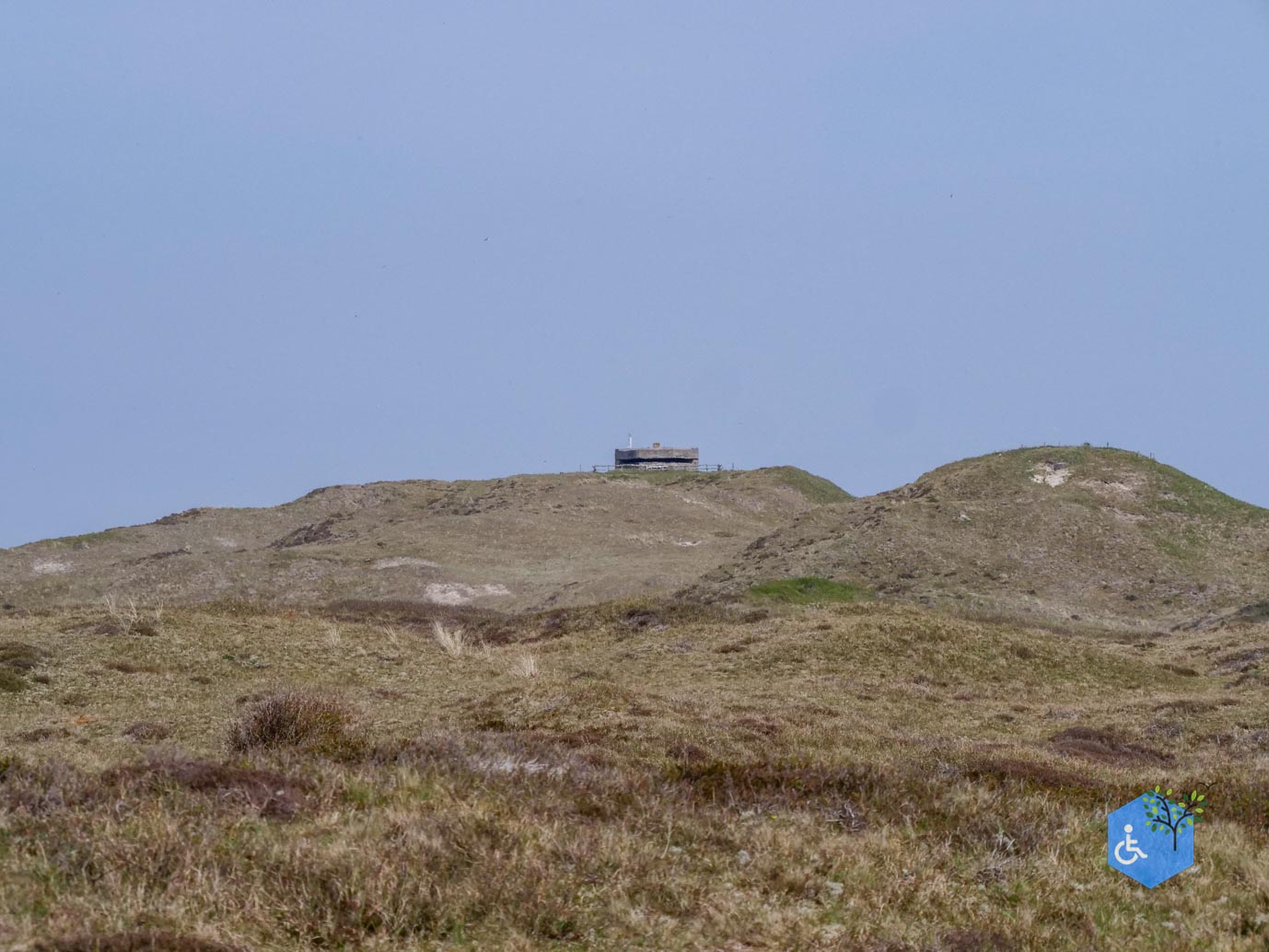 Den_Hoorn_Loodsmansduin_Paal_9_30-04-2024-41