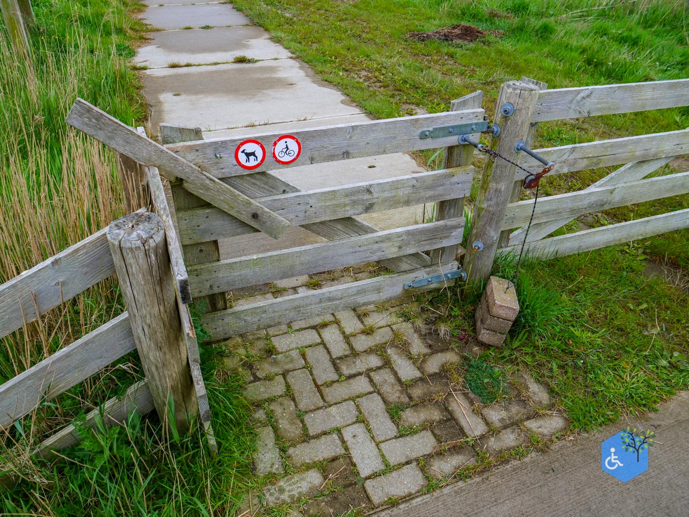 Oudeschild_Vogels_kijken_bij_Nieuw_Buitenheim_03-05-2024-05