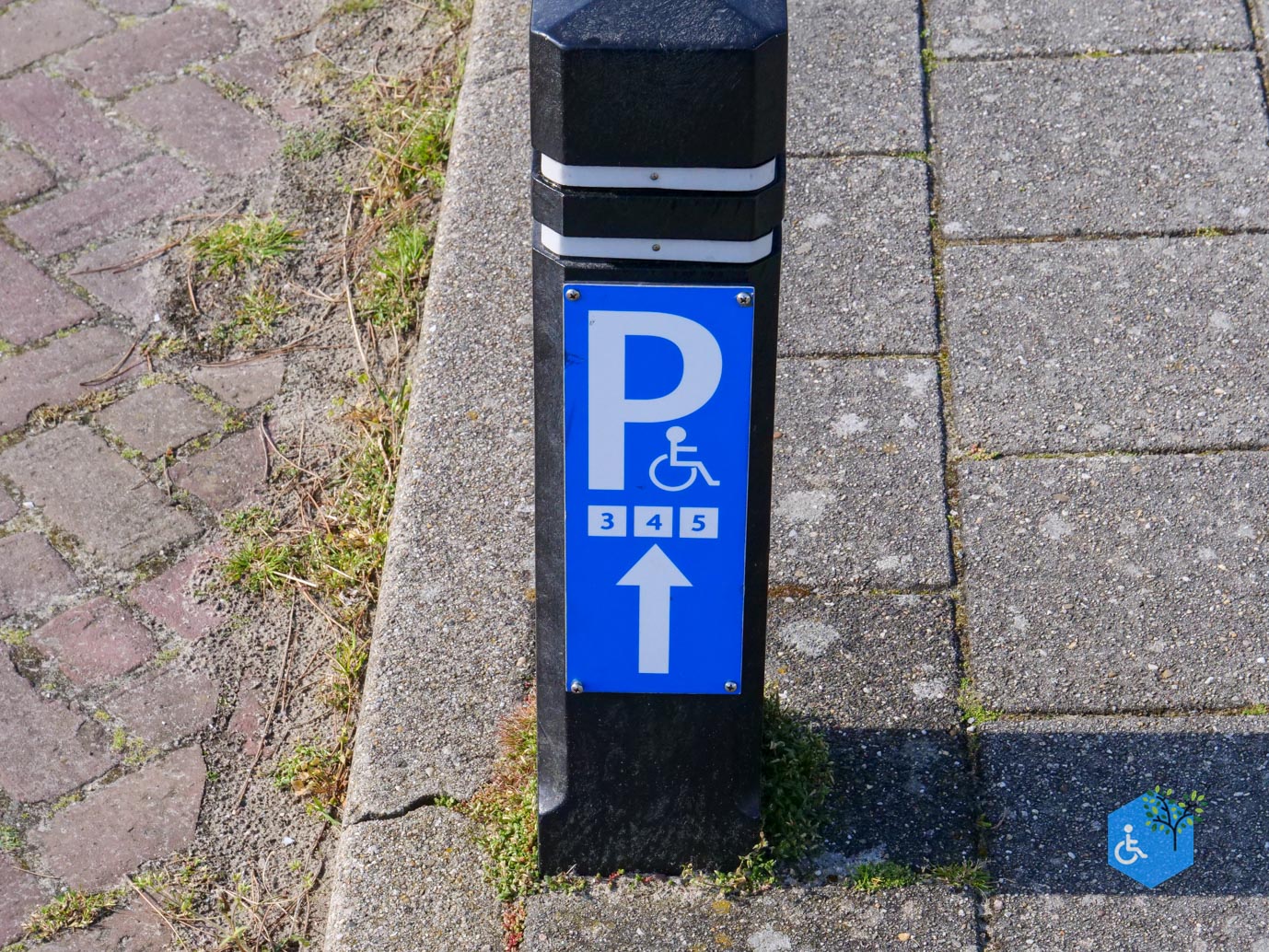 De_Koog_Ecomare_01-05-2024-02