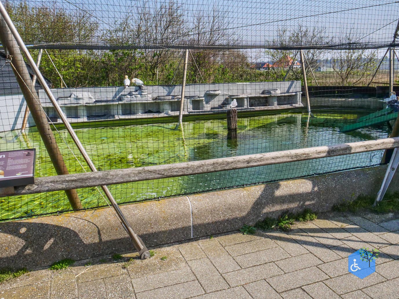 De_Koog_Ecomare_01-05-2024-20