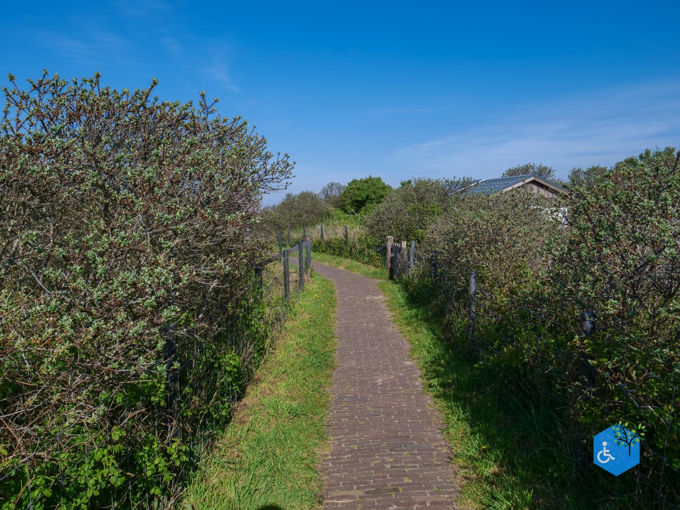 De_Cocksdorp_De_Slufter_het_Diepe_Gat_02-05-2024-06