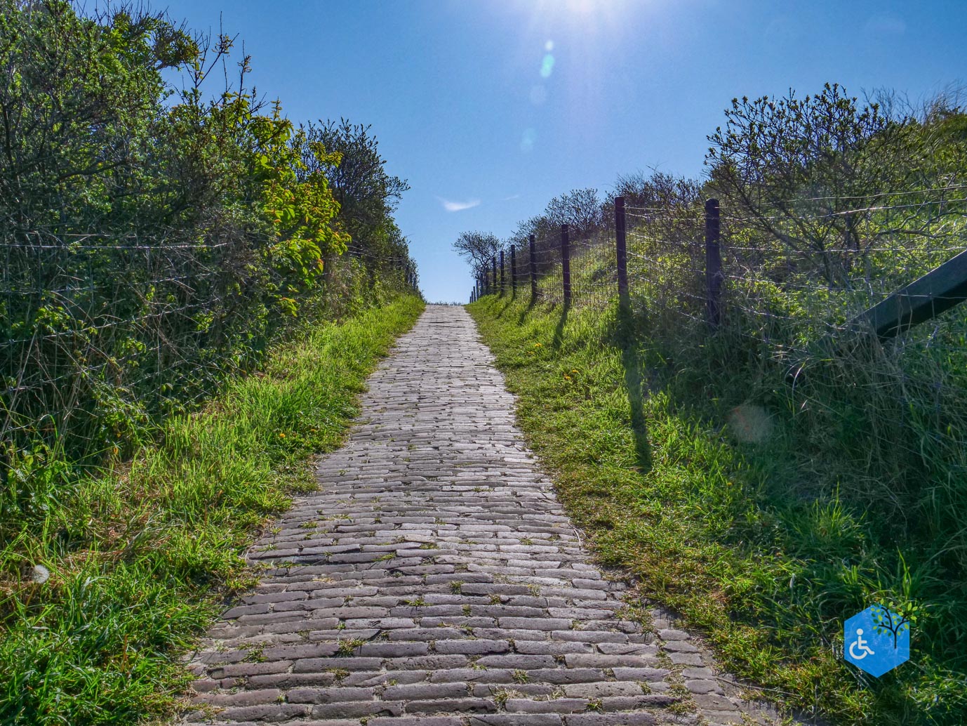 De_Cocksdorp_De_Slufter_het_Diepe_Gat_02-05-2024-13