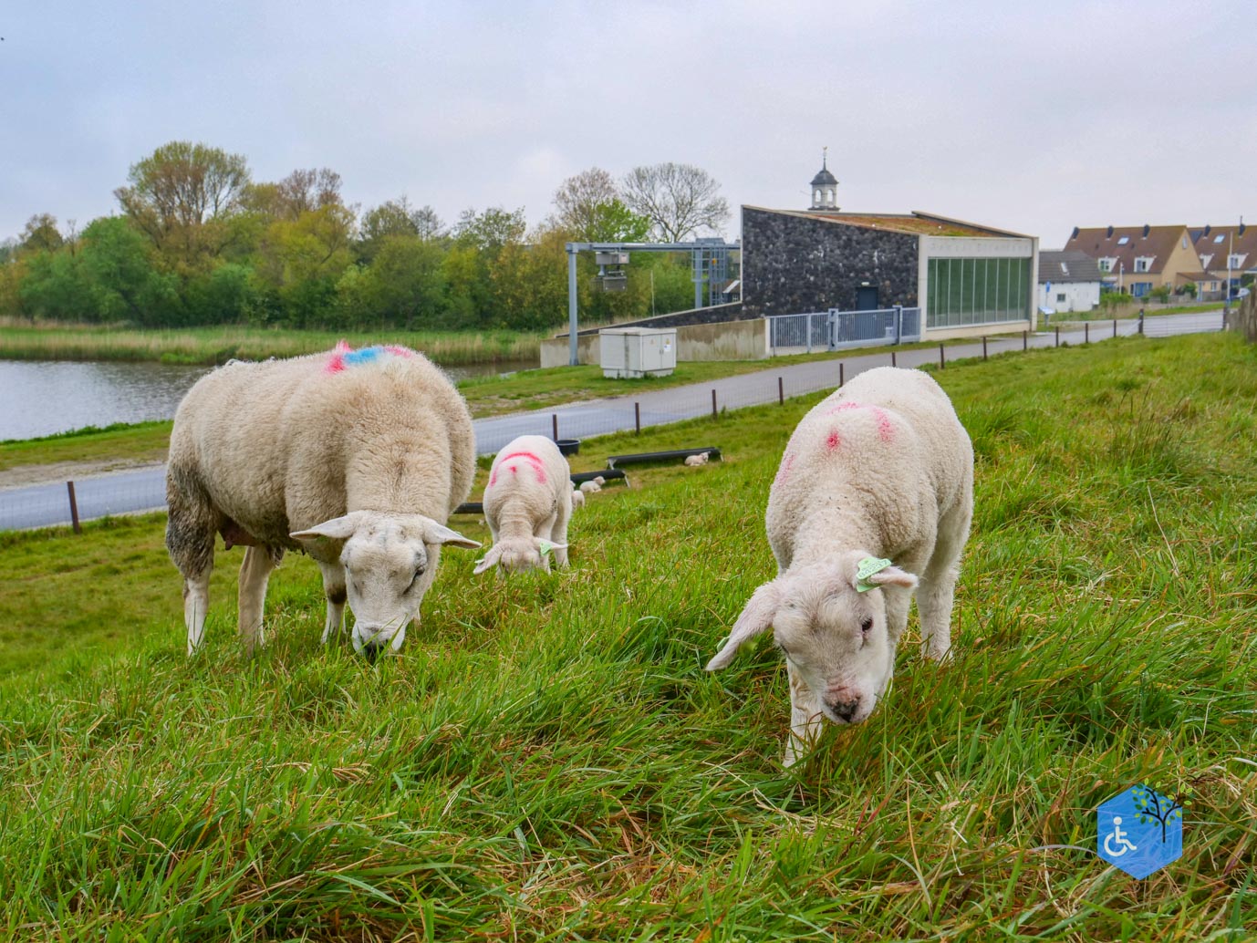 De_Cocksdorp_Haven_van_Sil_03-05-2024-05