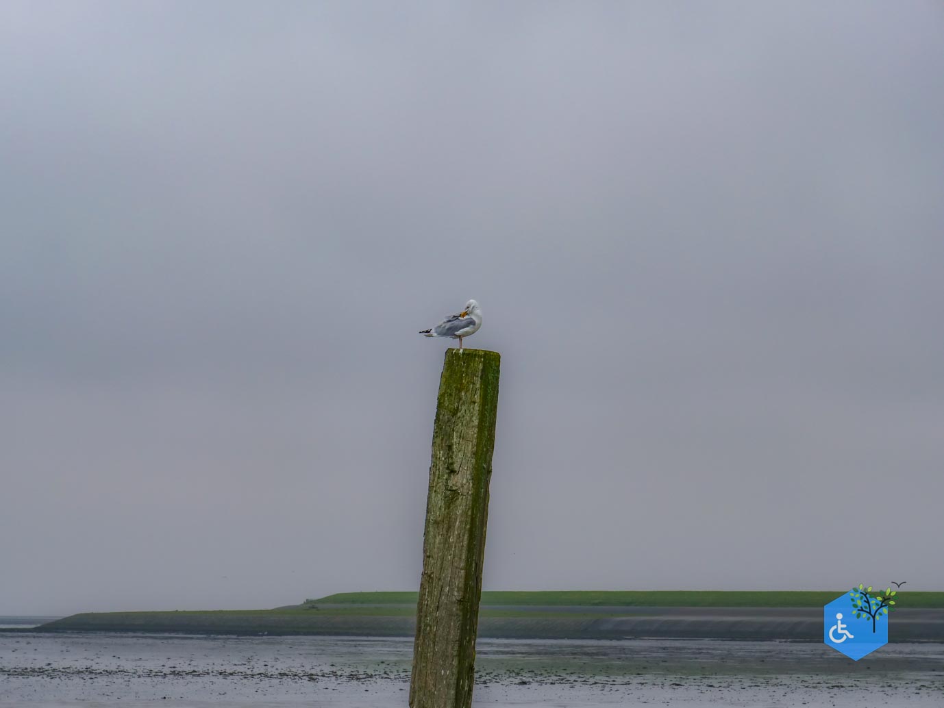 De_Cocksdorp_Haven_van_Sil_03-05-2024-15