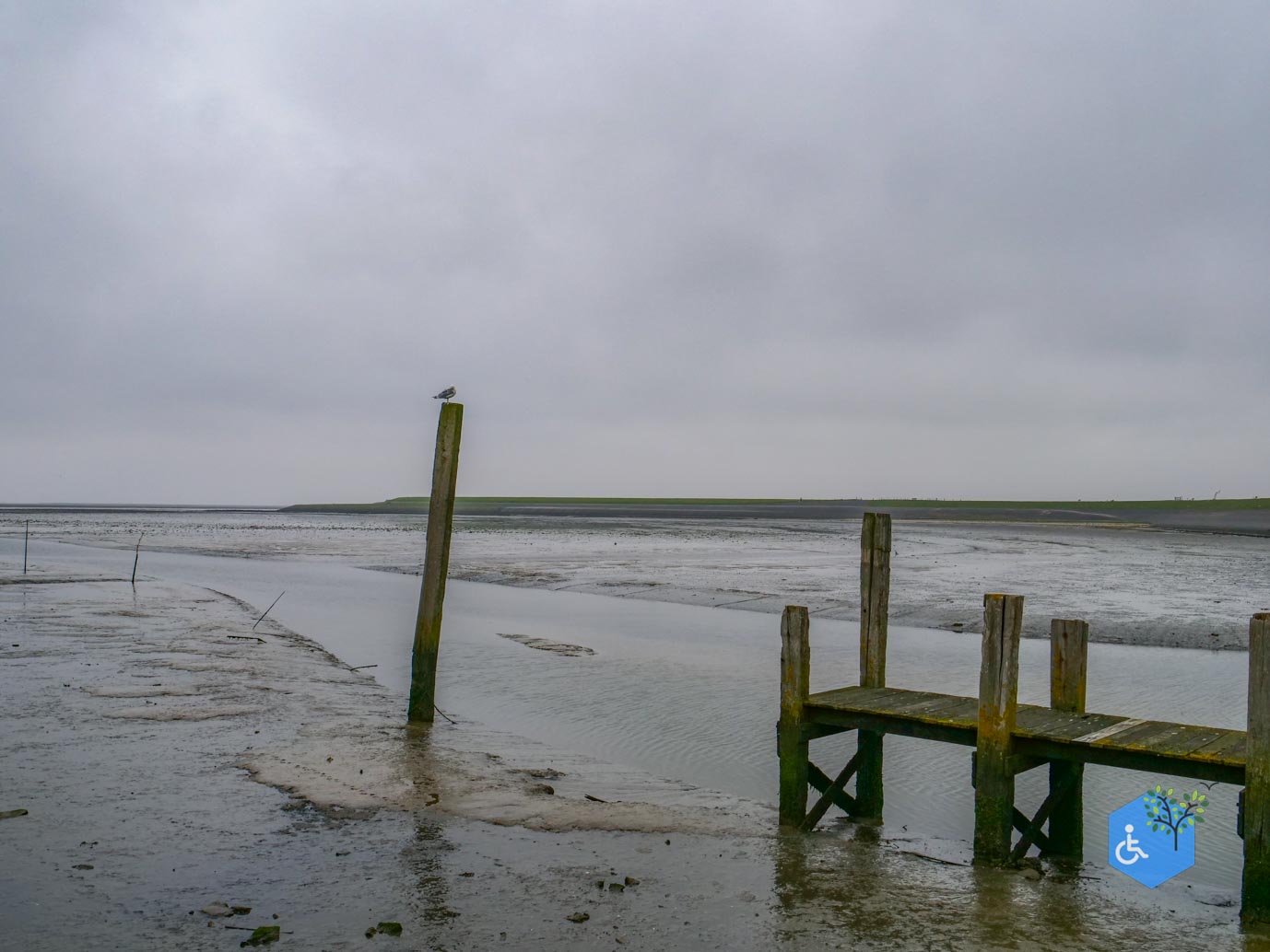 De_Cocksdorp_Haven_van_Sil_03-05-2024-16