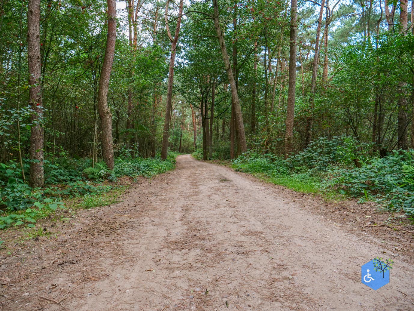 Ede_Rondje_de_Ginkel_30-08-2024-05