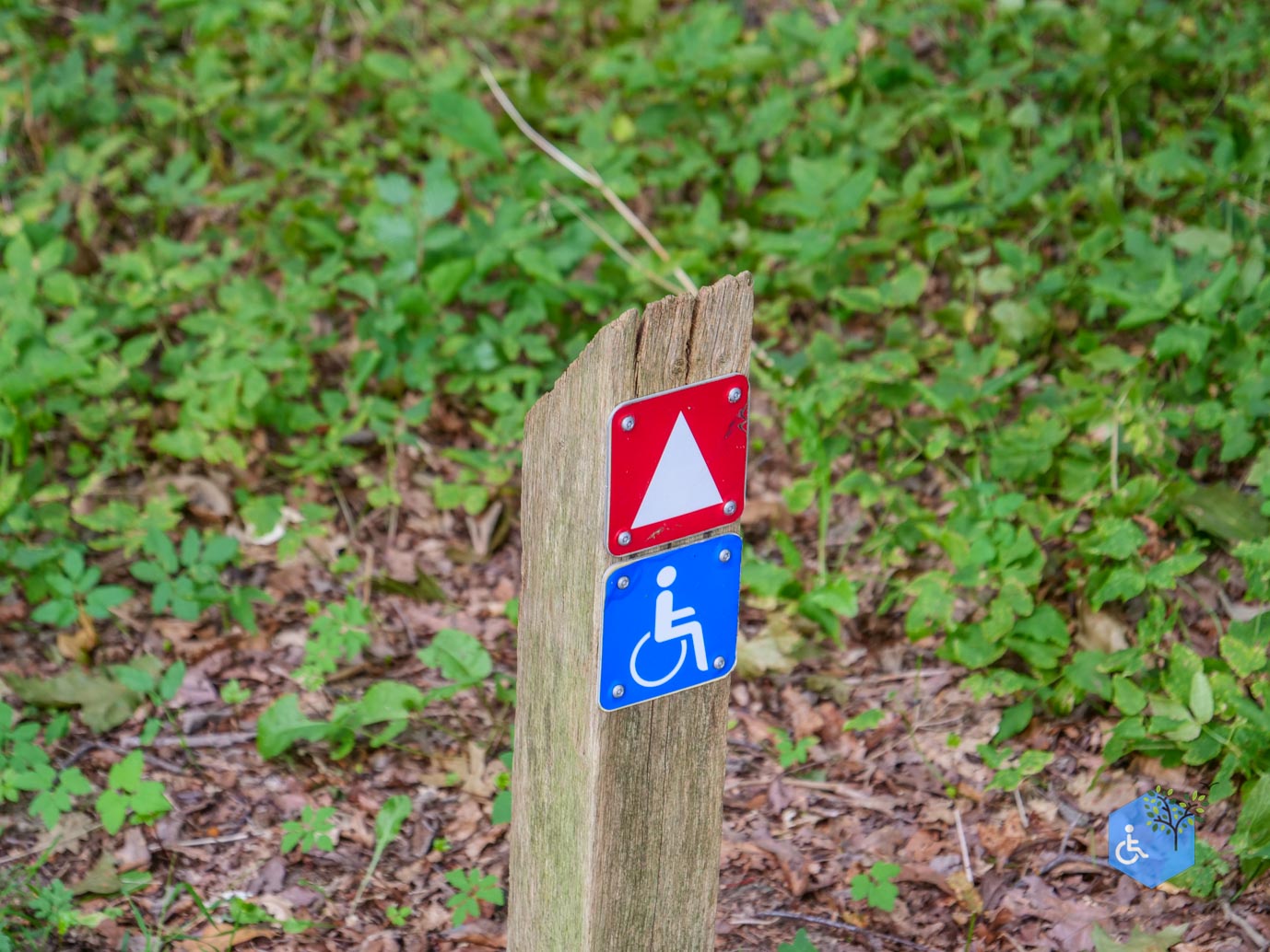 Ede_Rondje_de_Ginkel_30-08-2024-10