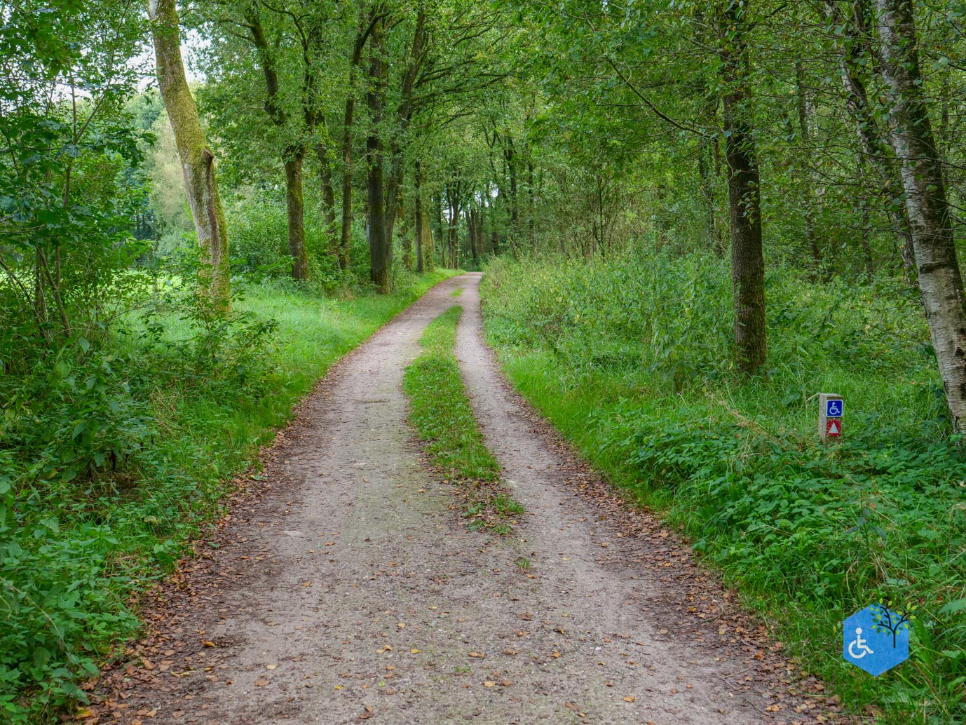 Ede_Rondje_de_Ginkel_30-08-2024-16