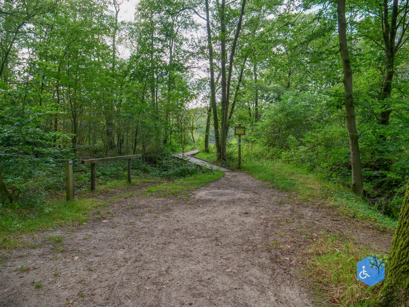 Ede_Rondje_de_Ginkel_30-08-2024-17