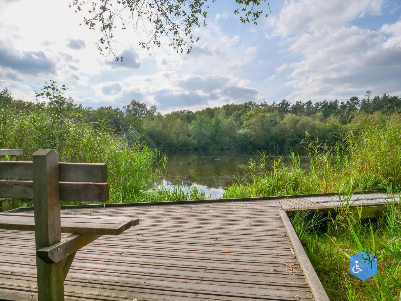 Ede_Rondje_de_Ginkel_30-08-2024-22