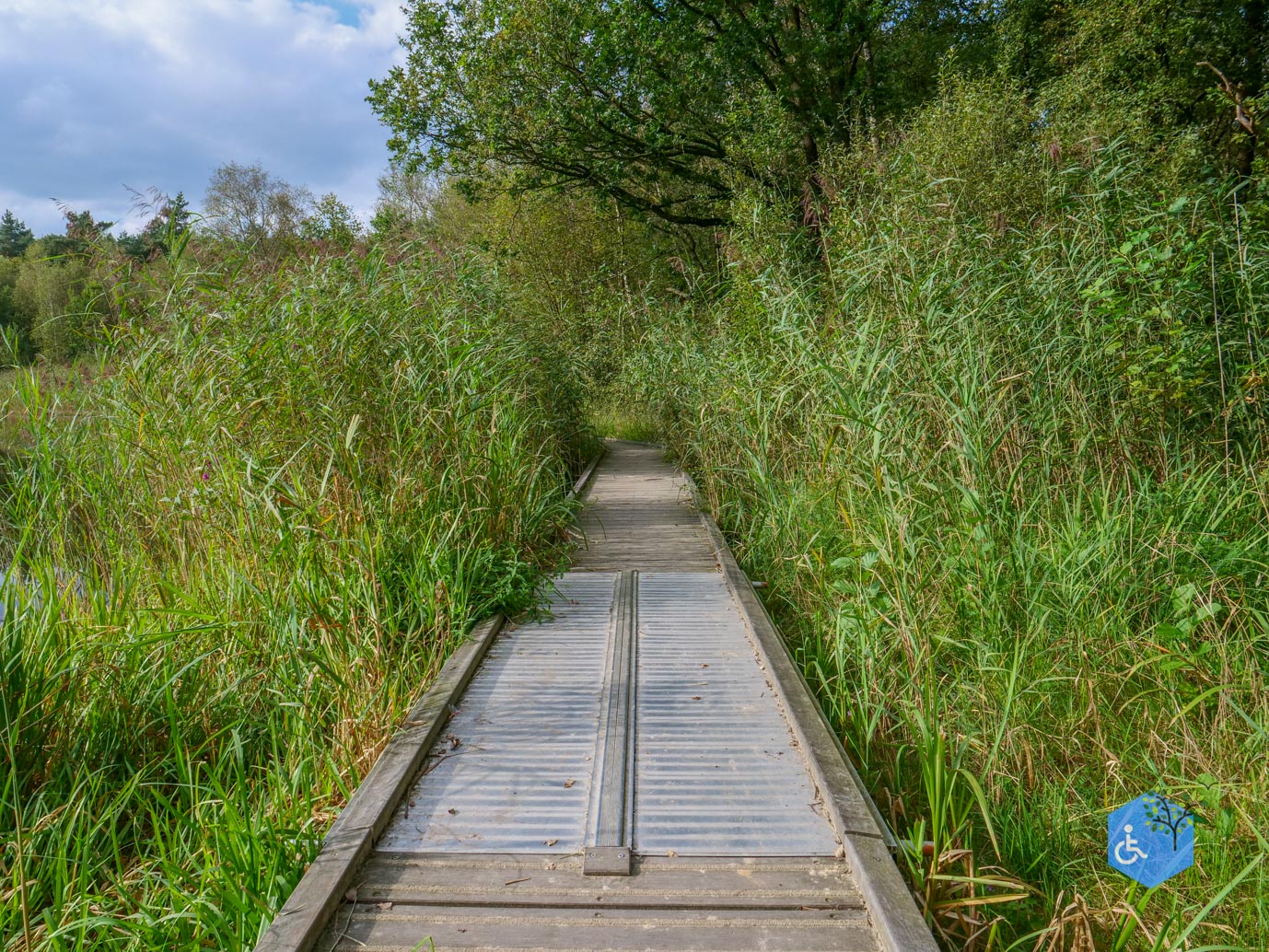Ede_Rondje_de_Ginkel_30-08-2024-23