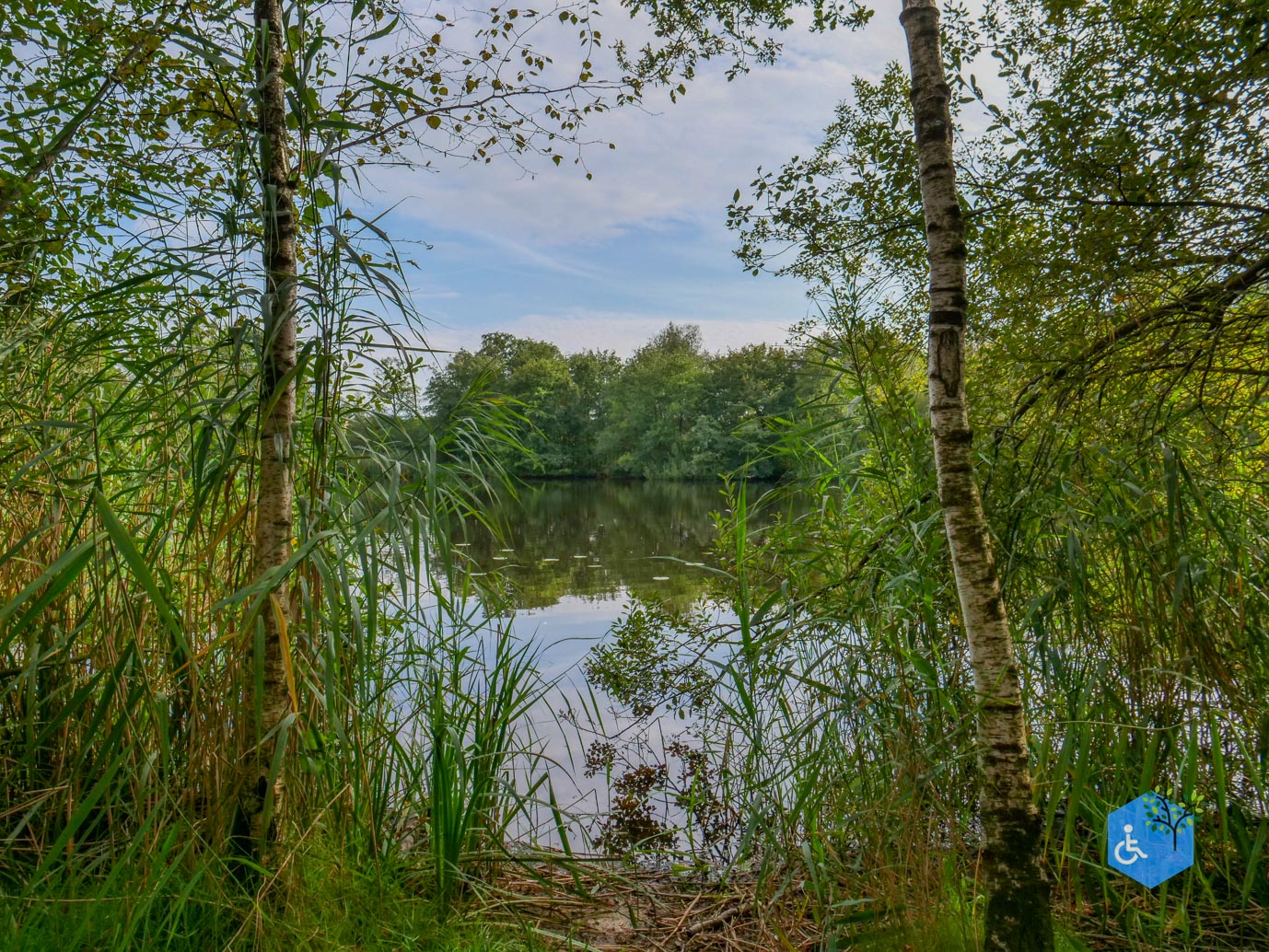 Ede_Rondje_de_Ginkel_30-08-2024-27