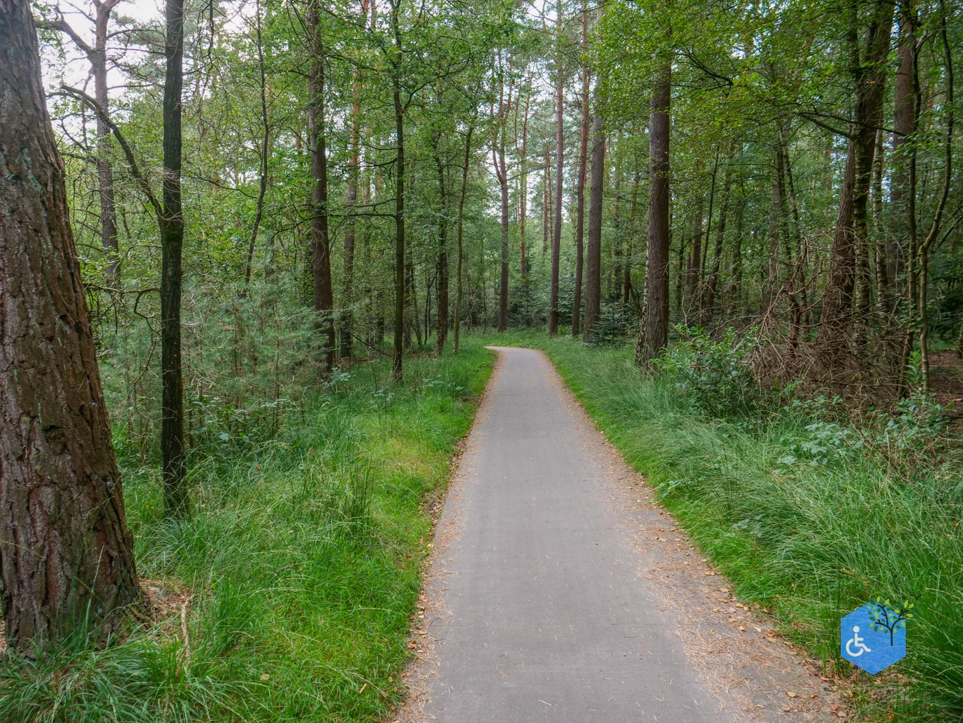 Ede_Rondje_de_Ginkel_30-08-2024-30