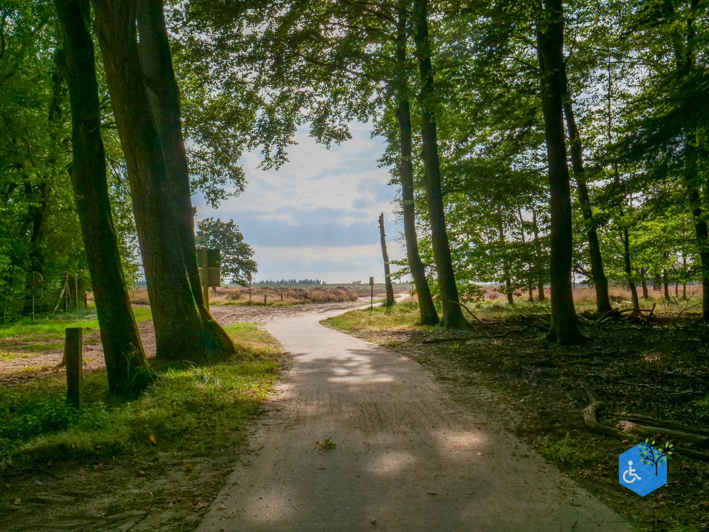 Ede_Rondje_de_Ginkel_30-08-2024-31