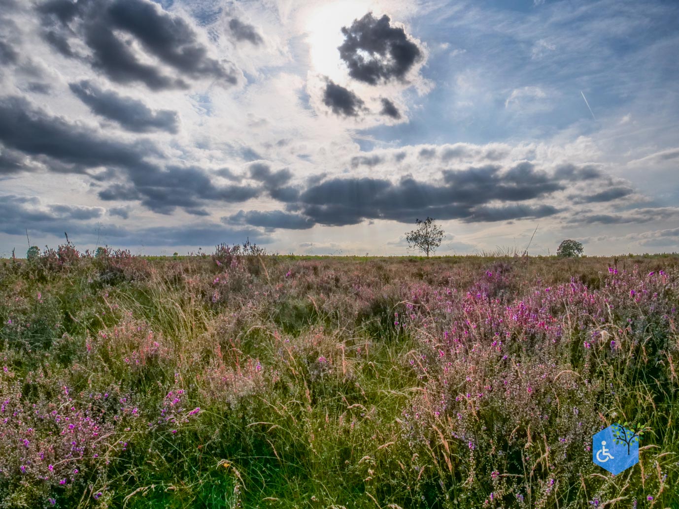 Ede_Rondje_de_Ginkel_30-08-2024-34