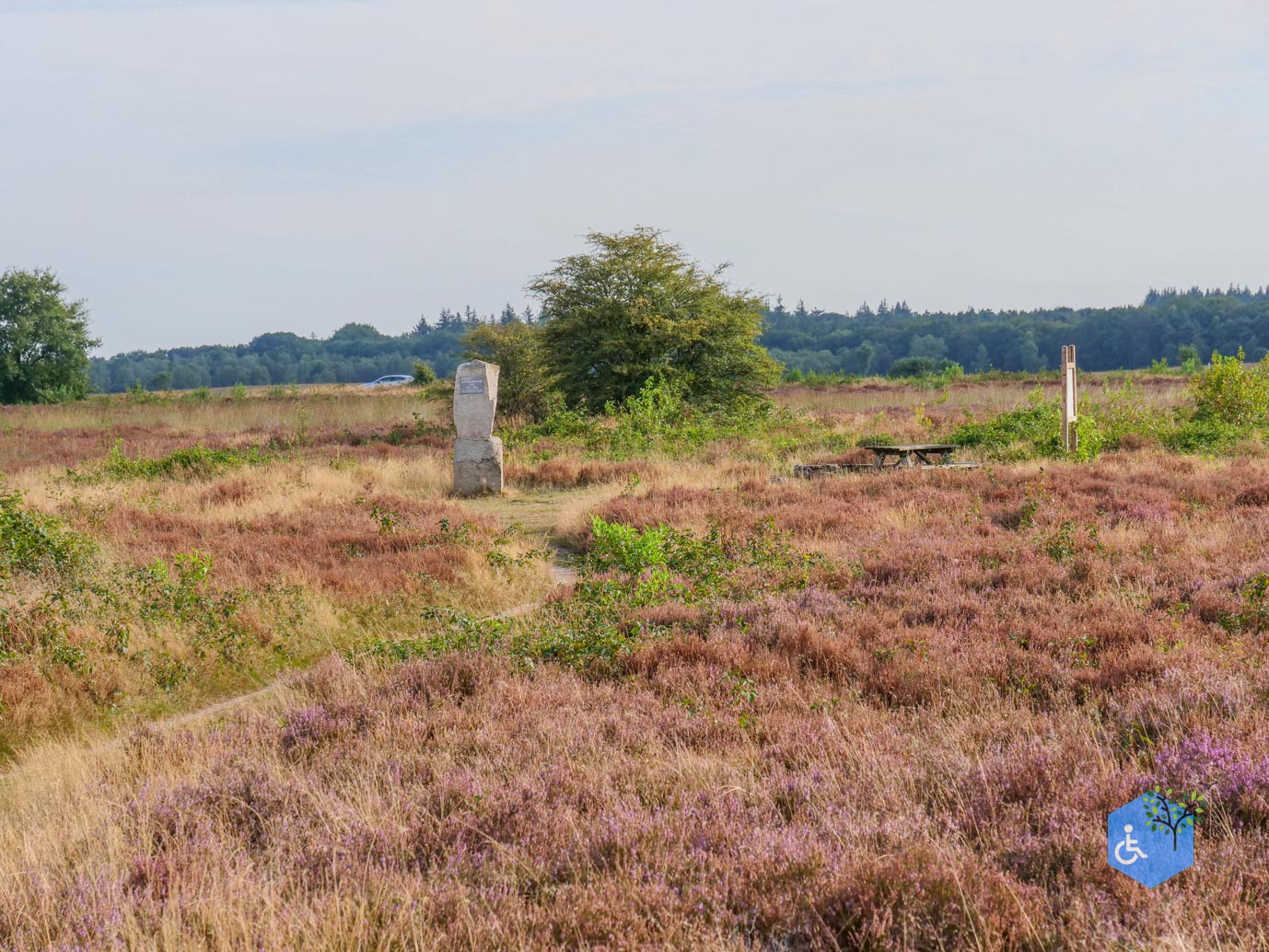 Ede_Rondje_de_Ginkel_30-08-2024-41