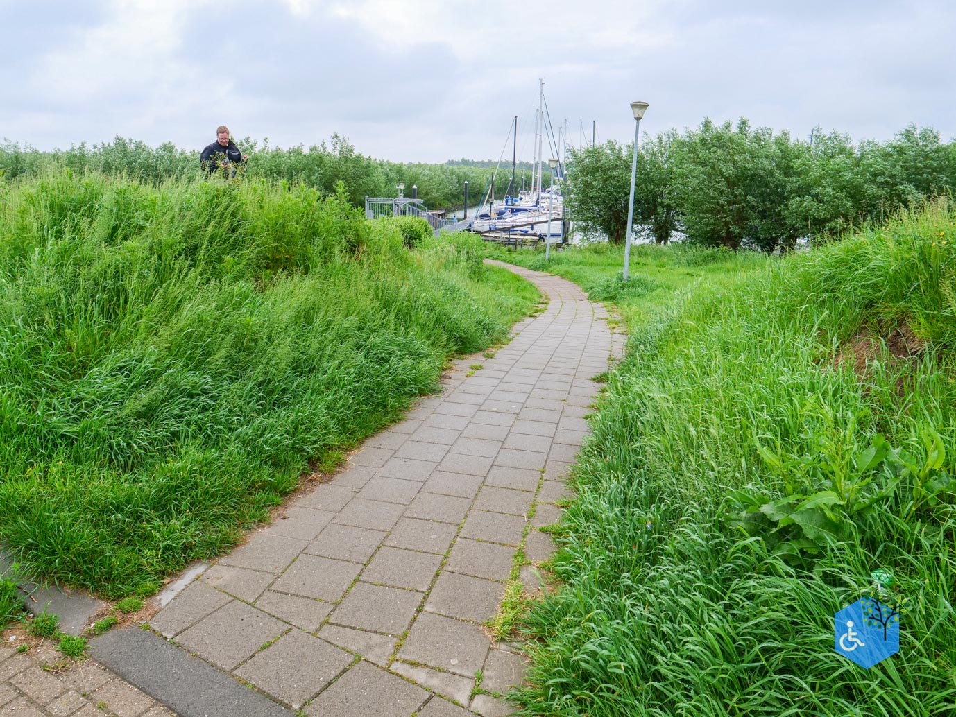 Rhoon_De_Rhoonse_Grienden_20-05-2024-05