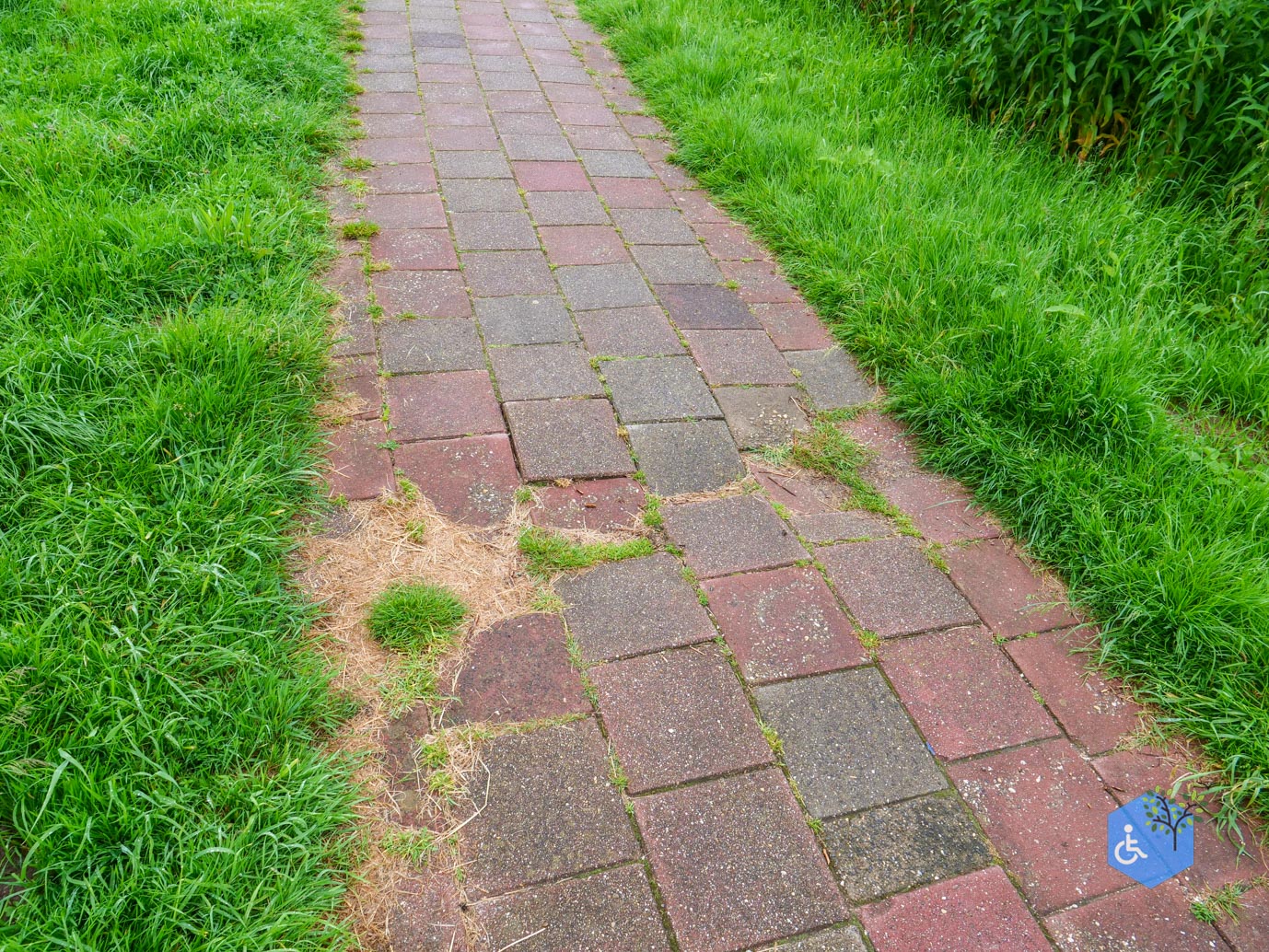 Rhoon_De_Rhoonse_Grienden_20-05-2024-06