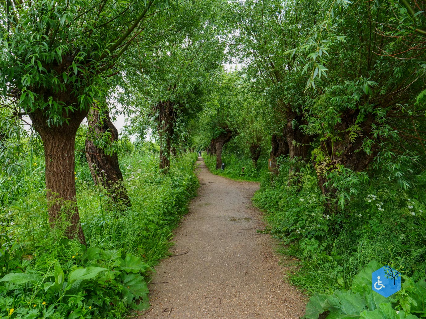 Rhoon_De_Rhoonse_Grienden_20-05-2024-08