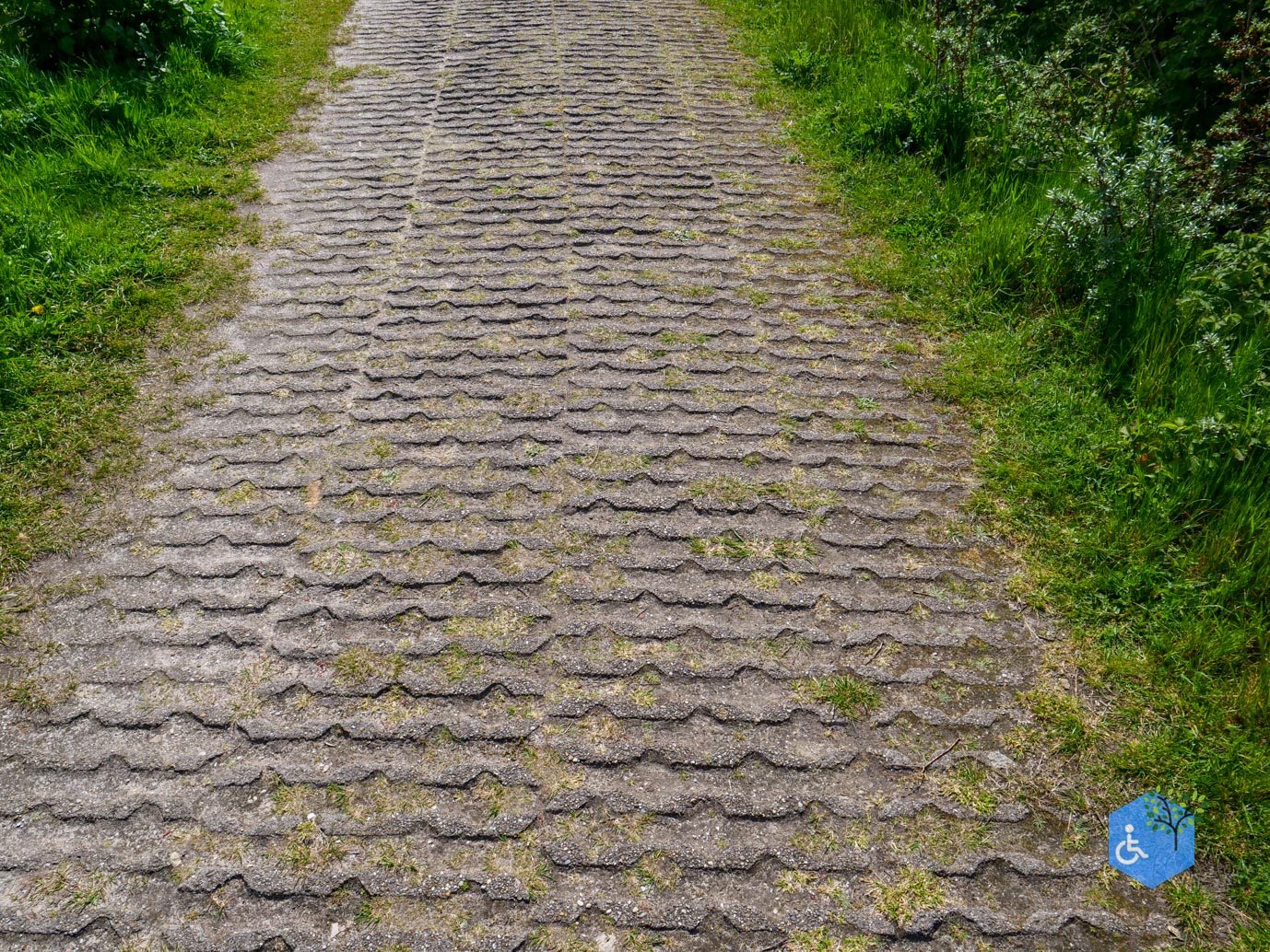 Texel_Div_uitkijkpunten_05-2024-03