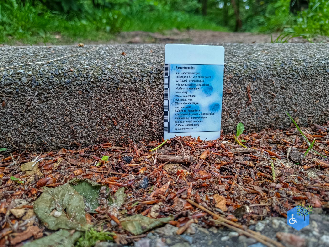 Zeist_Parkbos_Molenbosch_16-05-2024-06