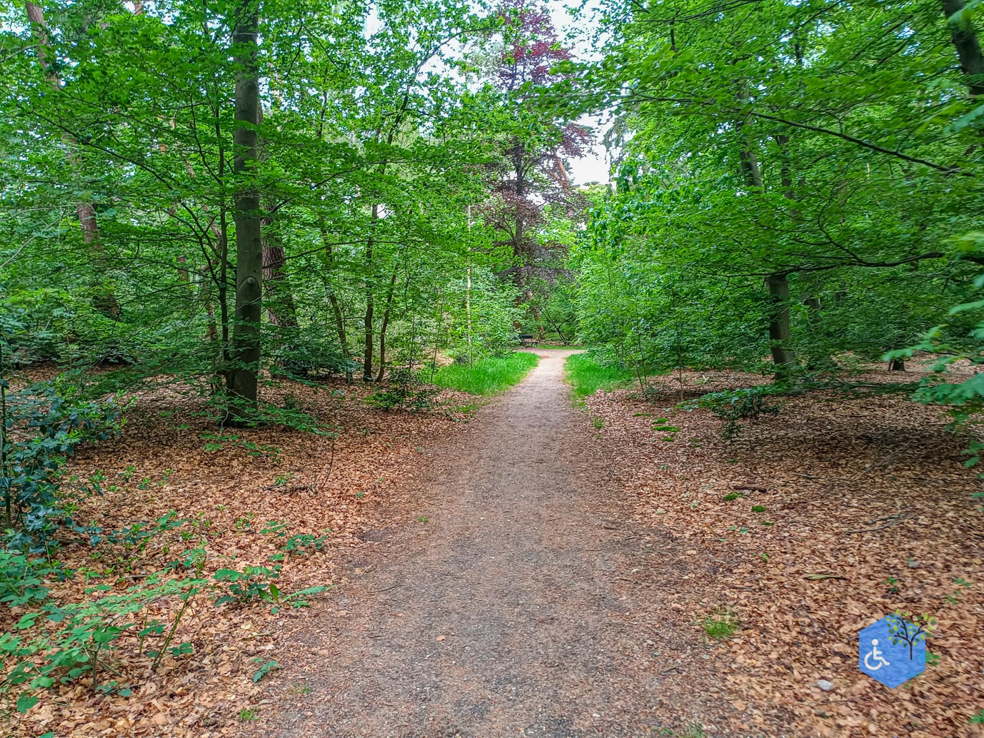 Zeist_Parkbos_Molenbosch_16-05-2024-07
