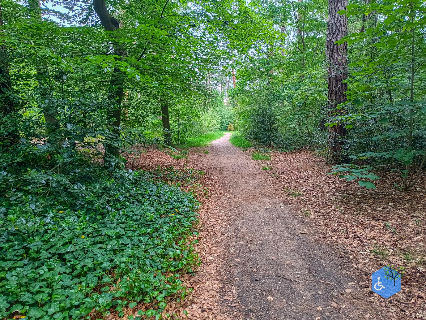 Zeist_Parkbos_Molenbosch_16-05-2024-09