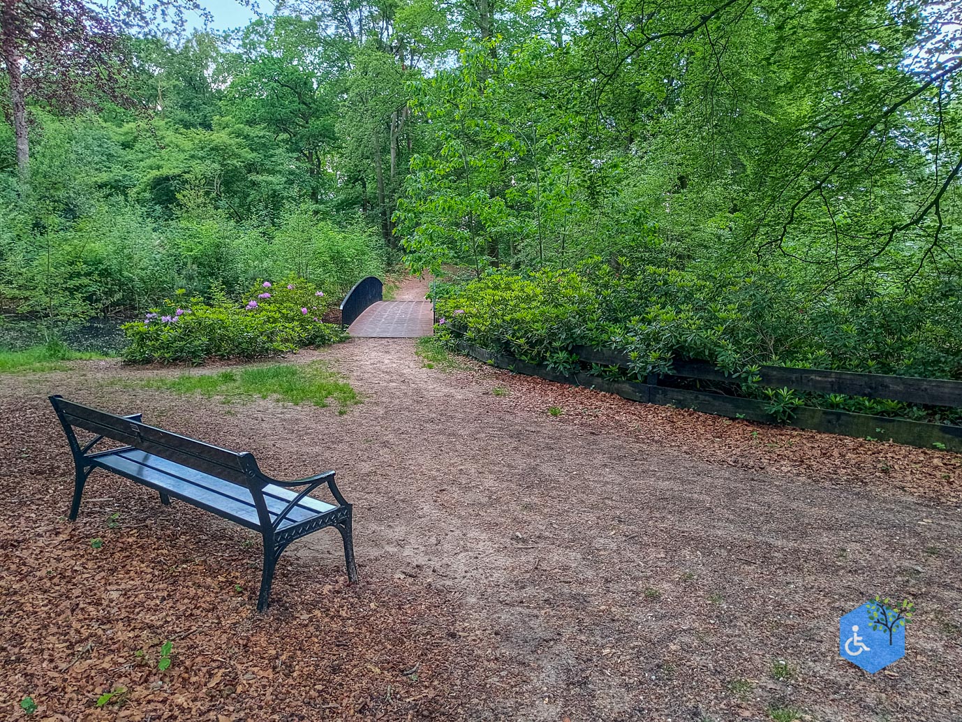 Zeist_Parkbos_Molenbosch_16-05-2024-11