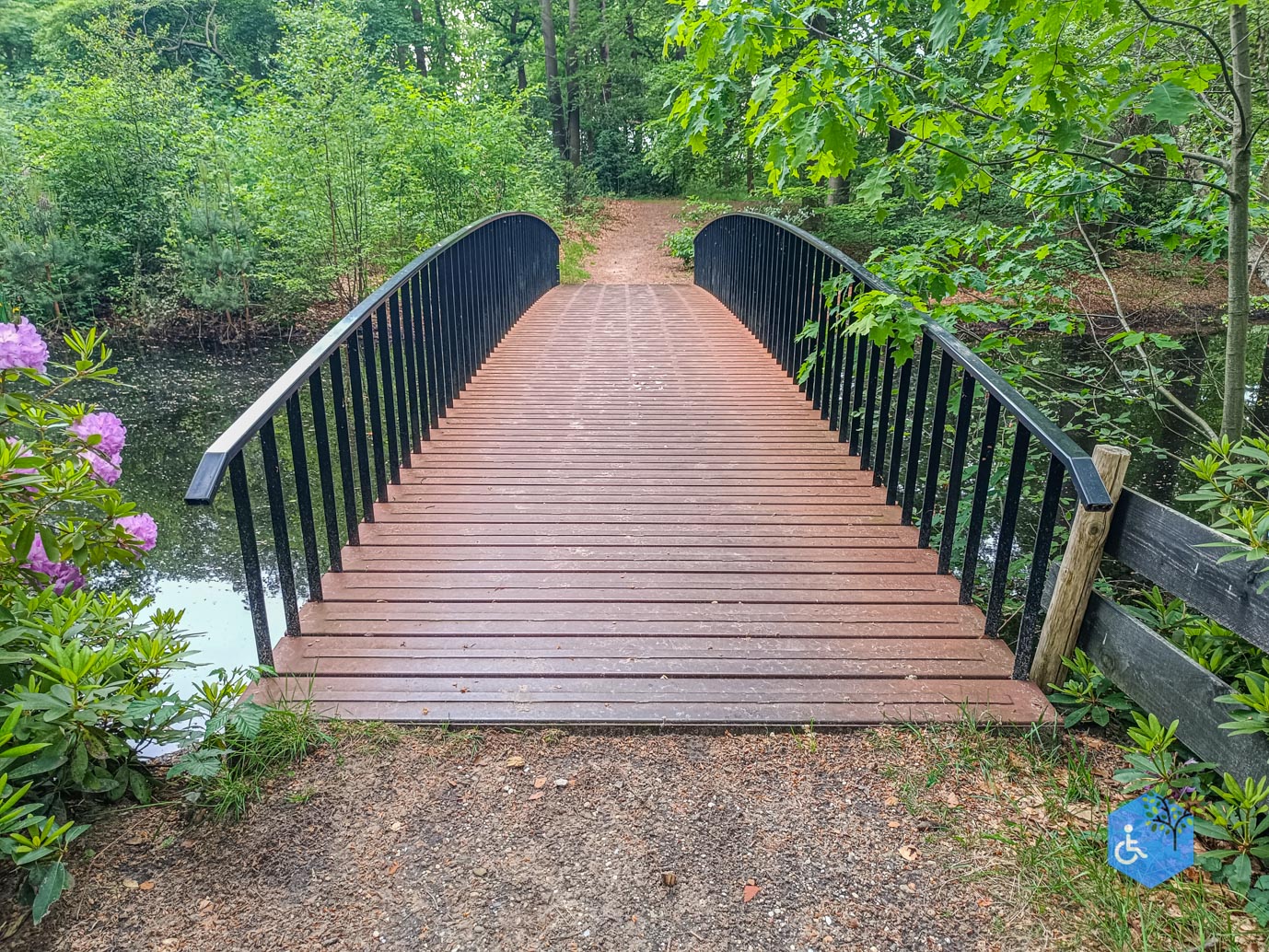 Zeist_Parkbos_Molenbosch_16-05-2024-12