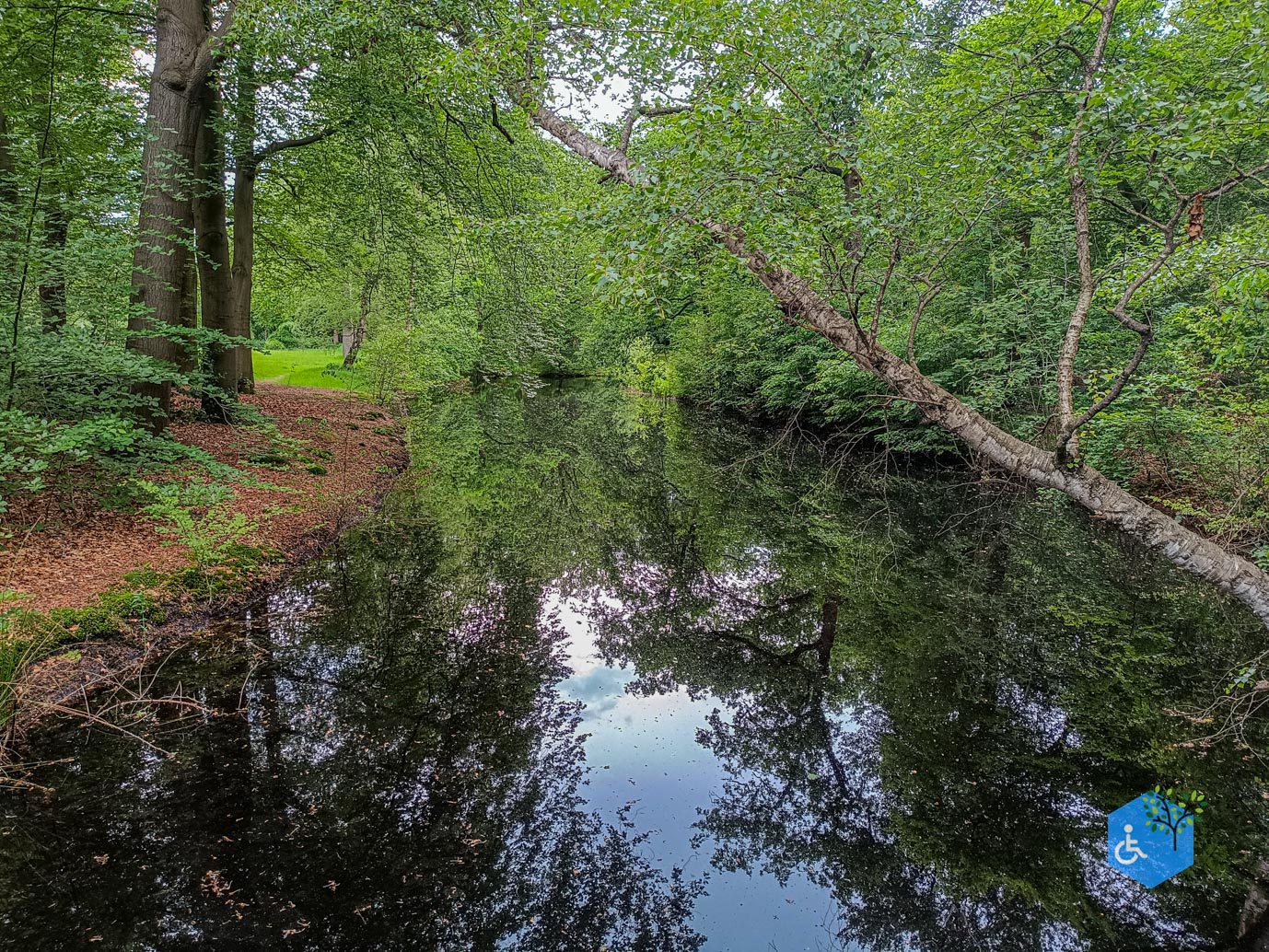 Zeist_Parkbos_Molenbosch_16-05-2024-14