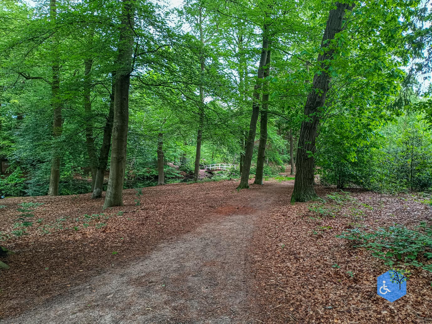 Zeist_Parkbos_Molenbosch_16-05-2024-16