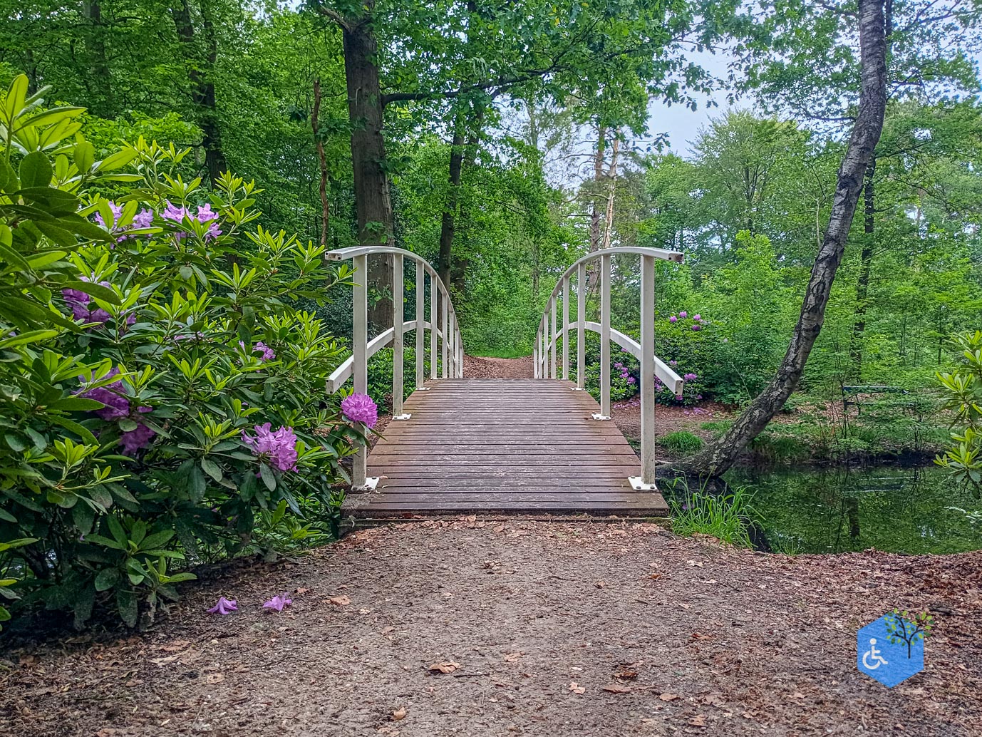 Zeist_Parkbos_Molenbosch_16-05-2024-18