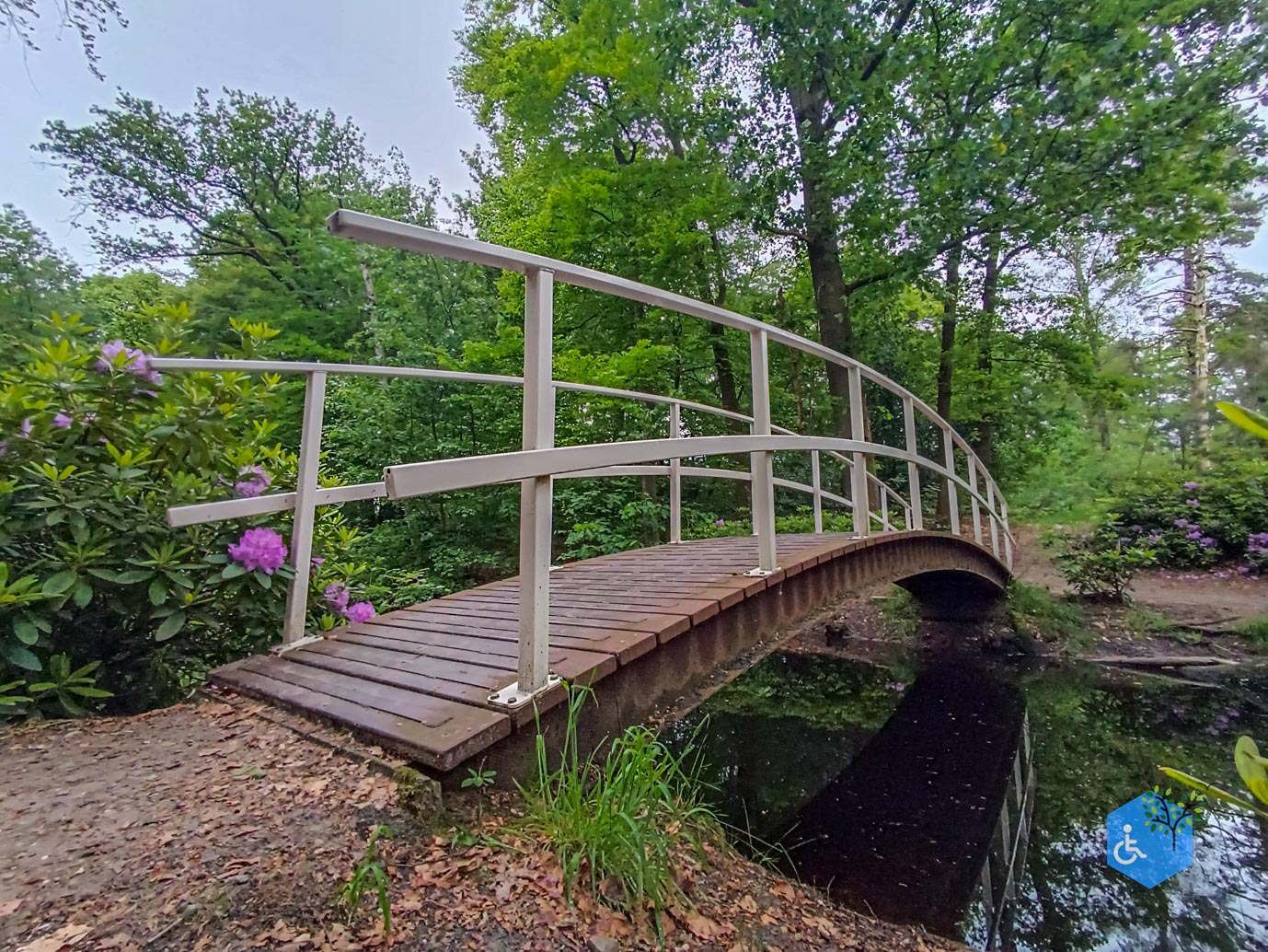 Zeist_Parkbos_Molenbosch_16-05-2024-19