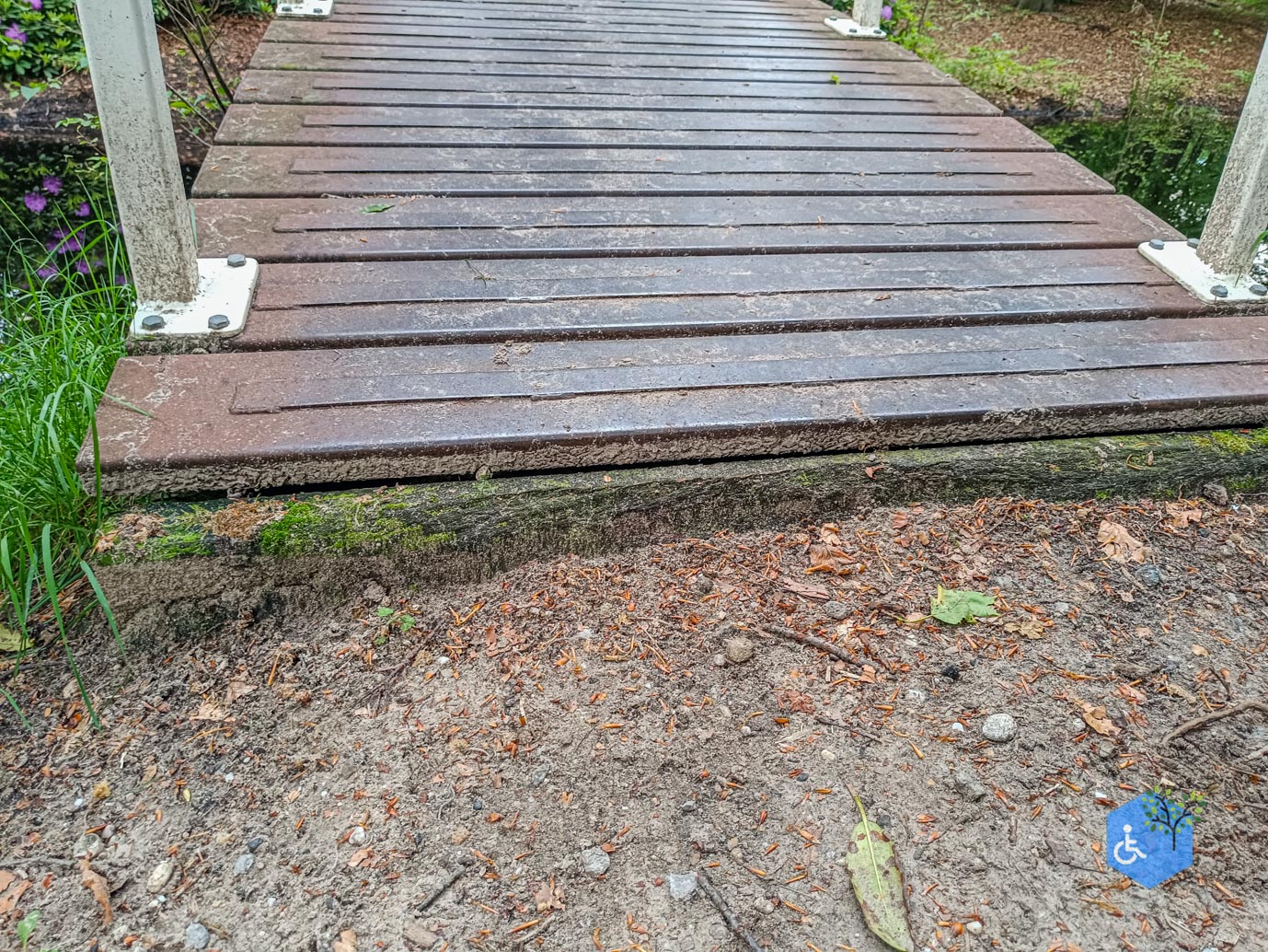 Zeist_Parkbos_Molenbosch_16-05-2024-20