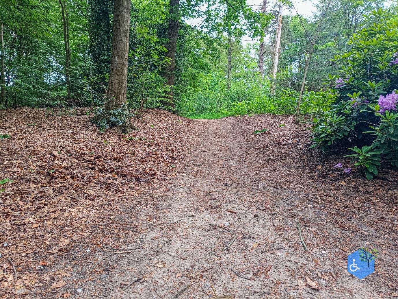 Zeist_Parkbos_Molenbosch_16-05-2024-21