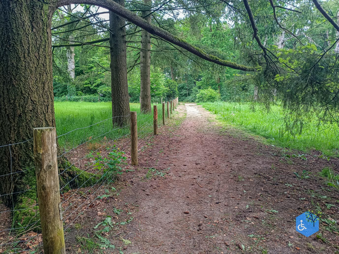 Zeist_Parkbos_Molenbosch_16-05-2024-22