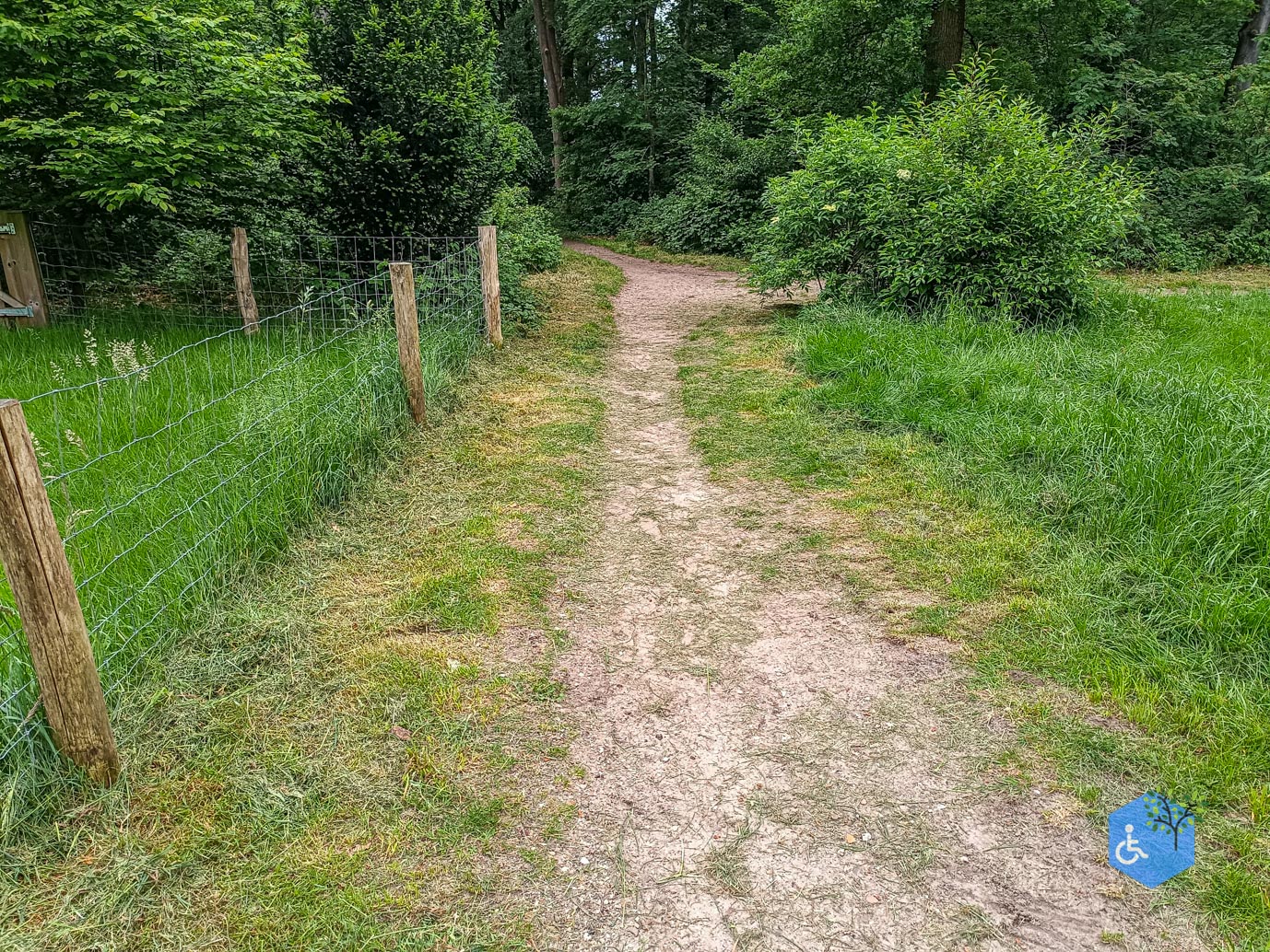 Zeist_Parkbos_Molenbosch_16-05-2024-23