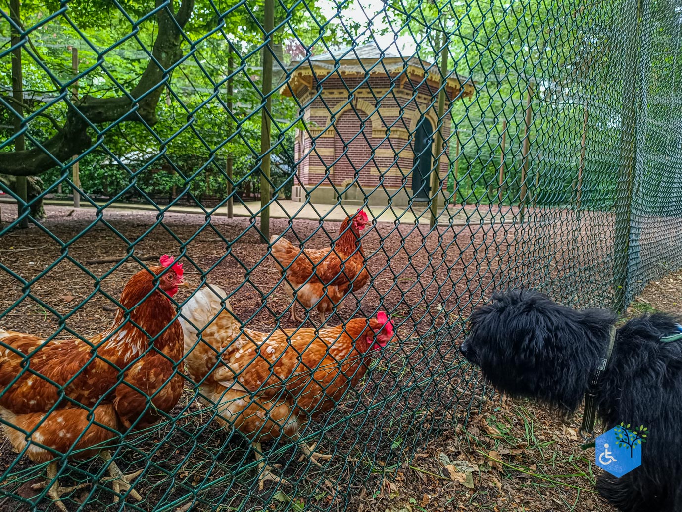 Zeist_Parkbos_Molenbosch_16-05-2024-24