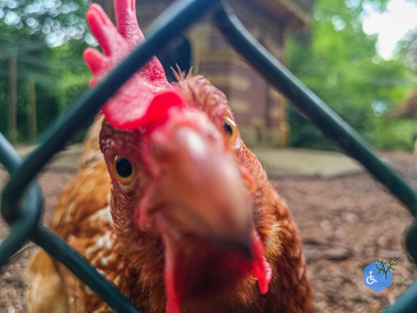 Zeist_Parkbos_Molenbosch_16-05-2024-25