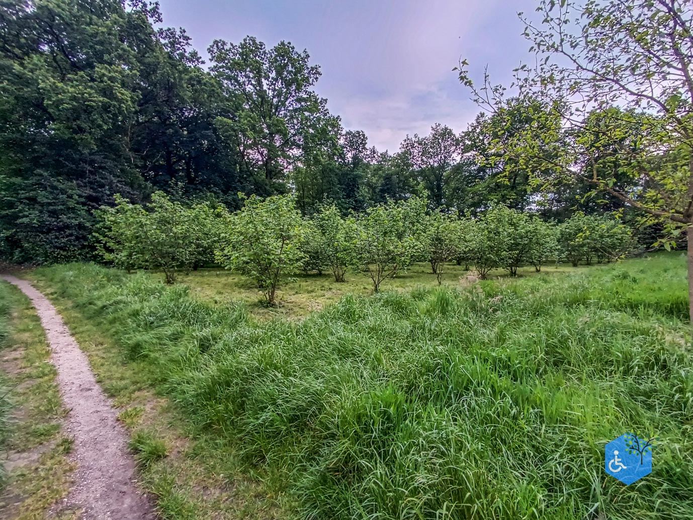 Zeist_Parkbos_Molenbosch_16-05-2024-28