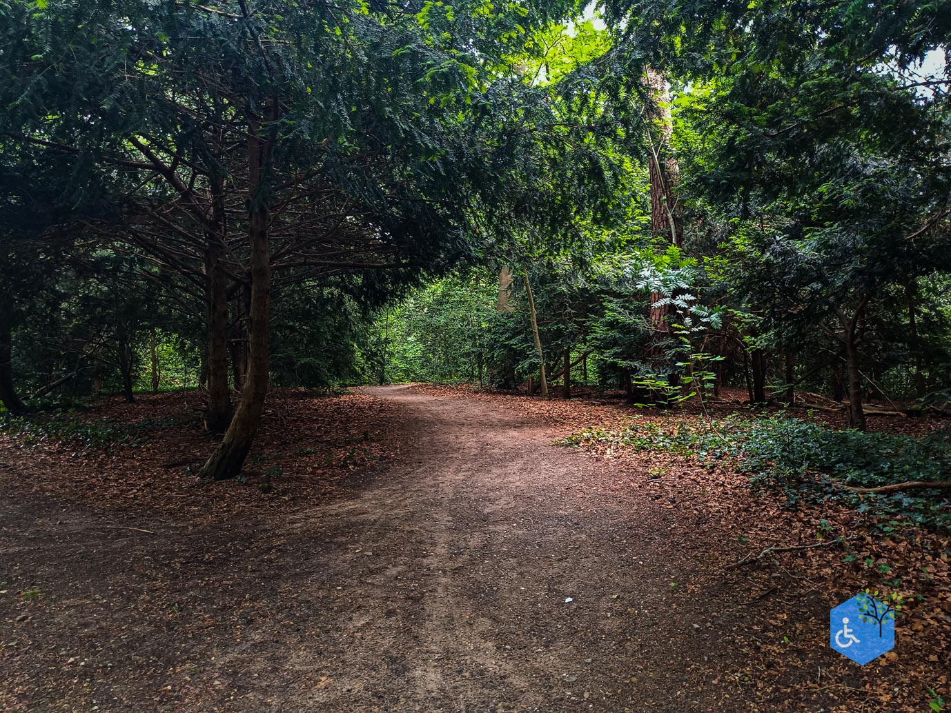 Zeist_Parkbos_Molenbosch_16-05-2024-29