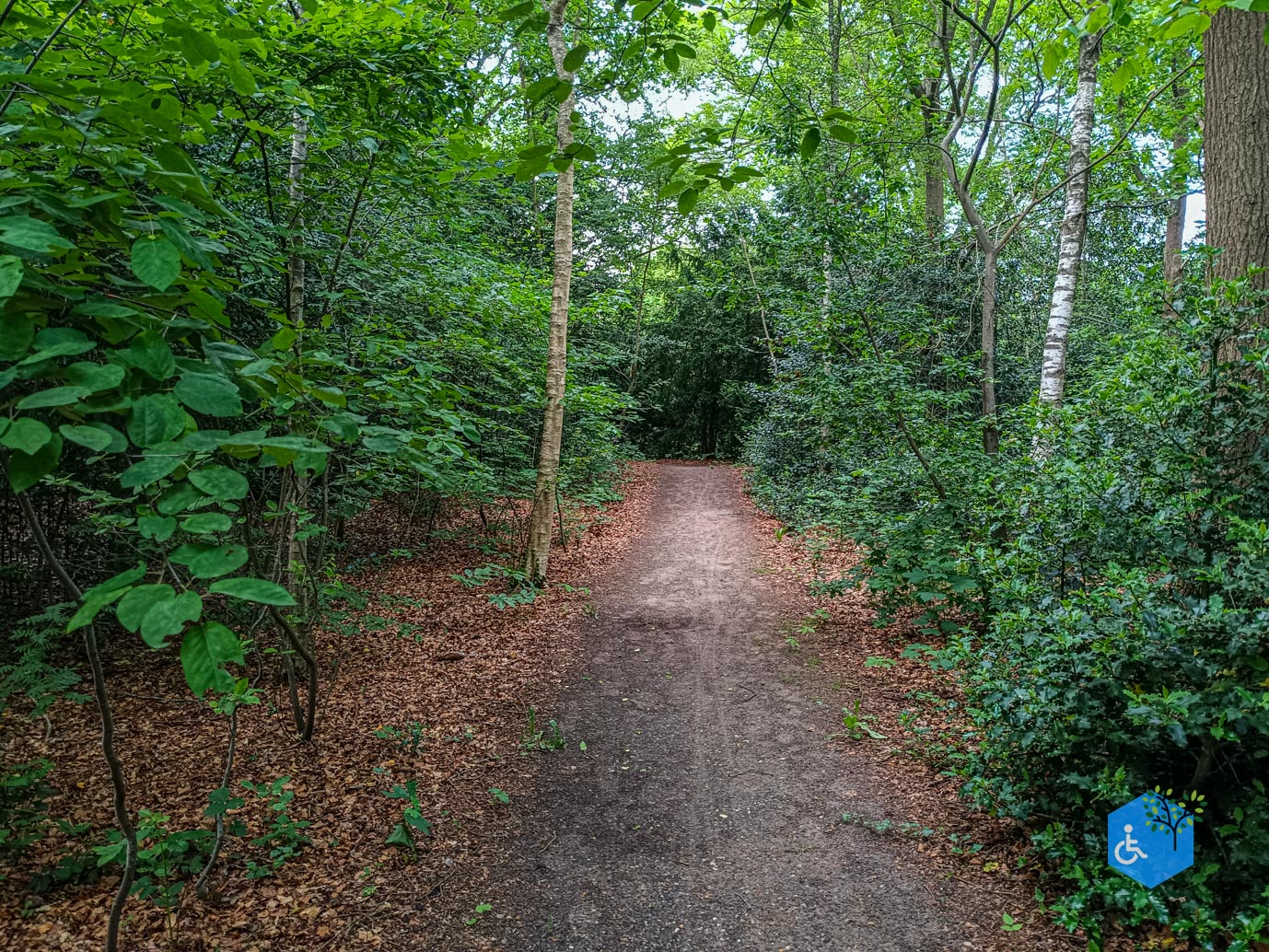 Zeist_Parkbos_Molenbosch_16-05-2024-30