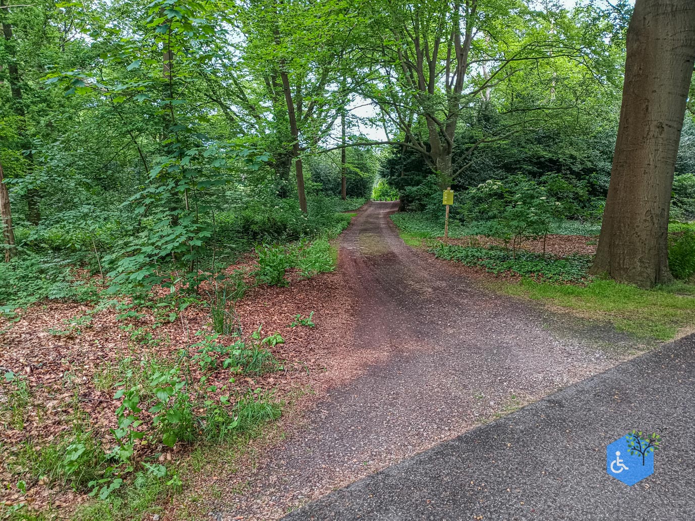 Zeist_Parkbos_Molenbosch_16-05-2024-31