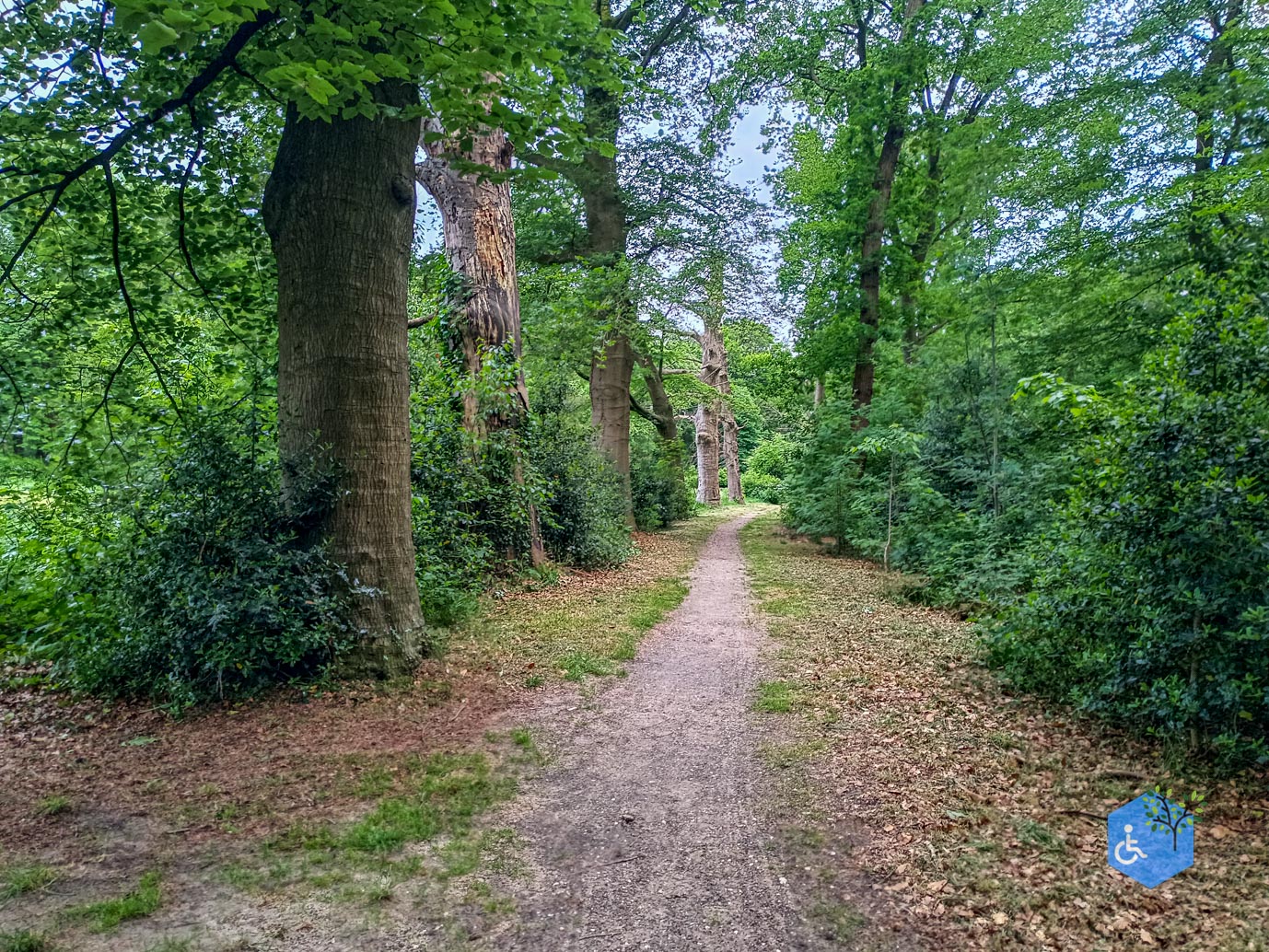 Zeist_Parkbos_Molenbosch_16-05-2024-32
