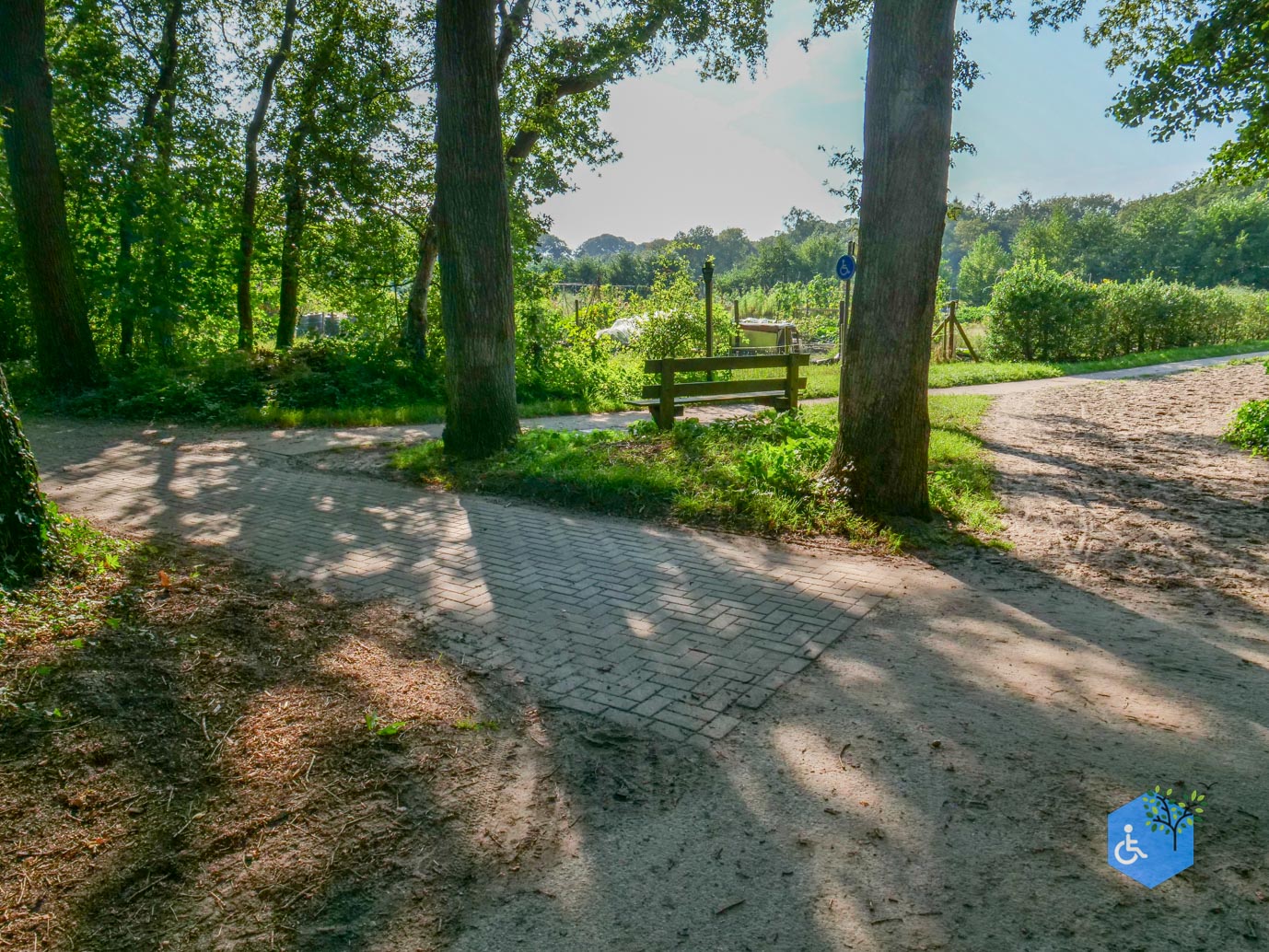 Beetsterzwaag_Rolstoelroute_Lyndenstein_05-09-2024-04