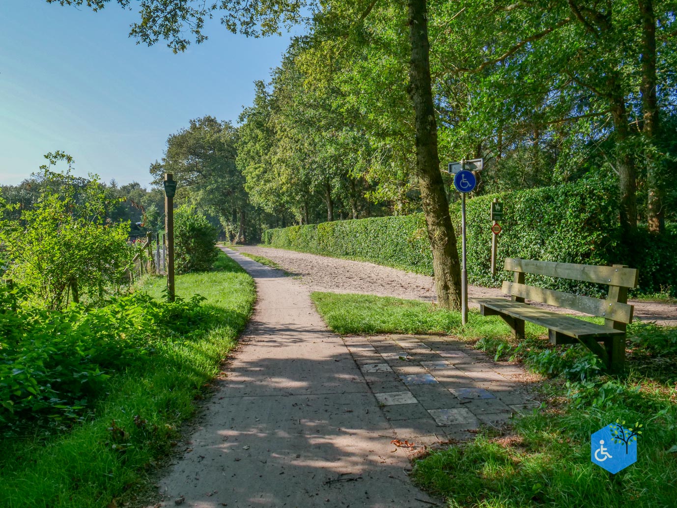Beetsterzwaag_Rolstoelroute_Lyndenstein_05-09-2024-05