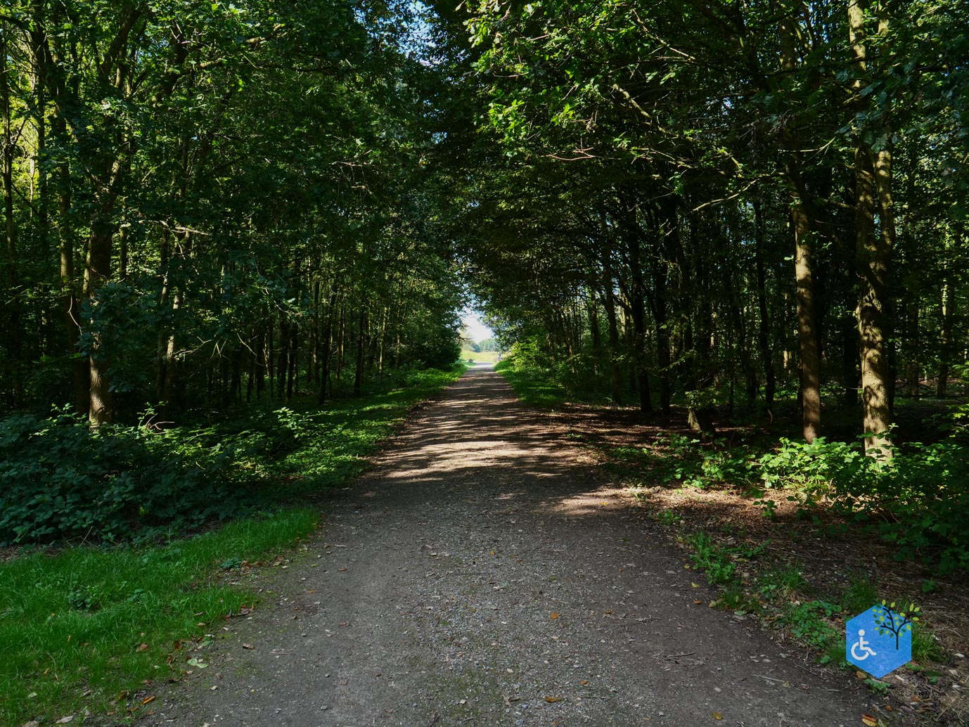 Houten_Rondje_Nieuw_Wulven_21-09-2024-17
